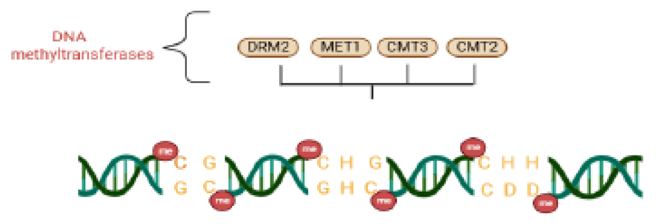 Preprints 175261 g003