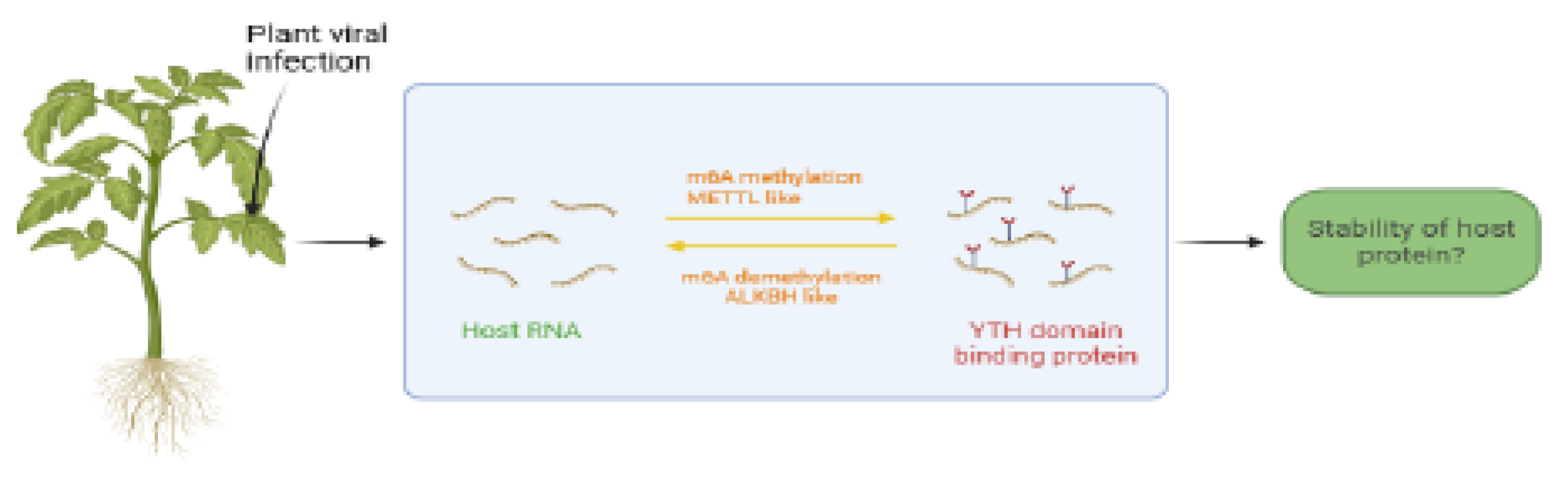 Preprints 175261 g004