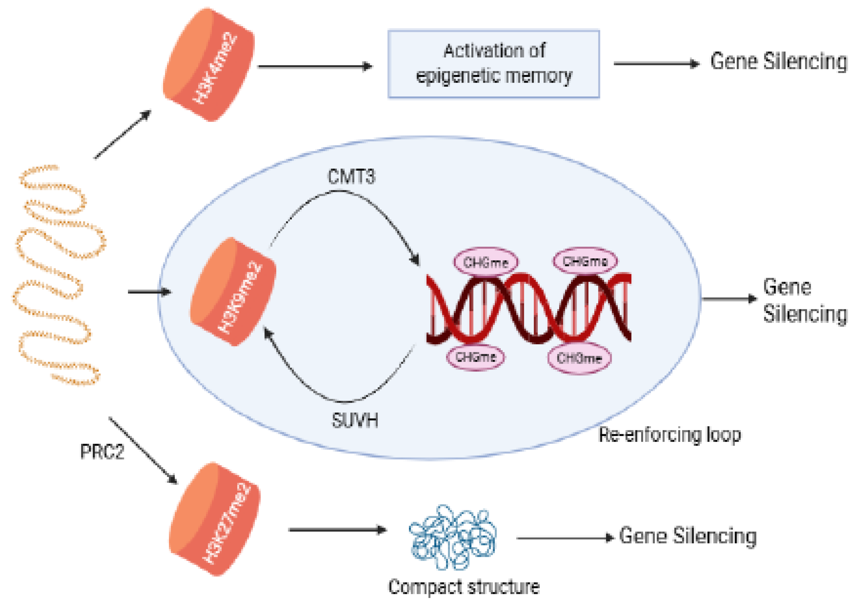 Preprints 175261 g005