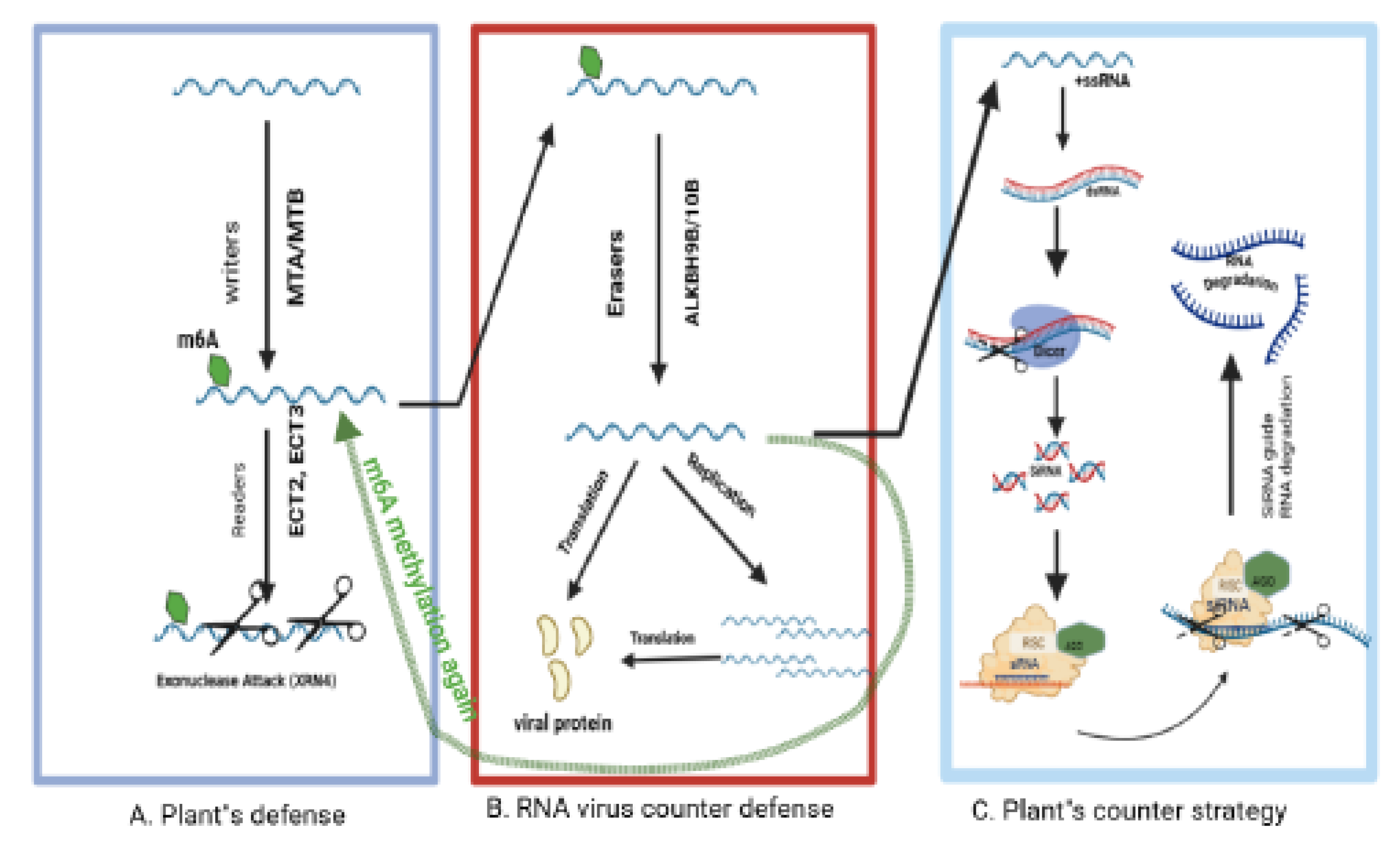 Preprints 175261 g007