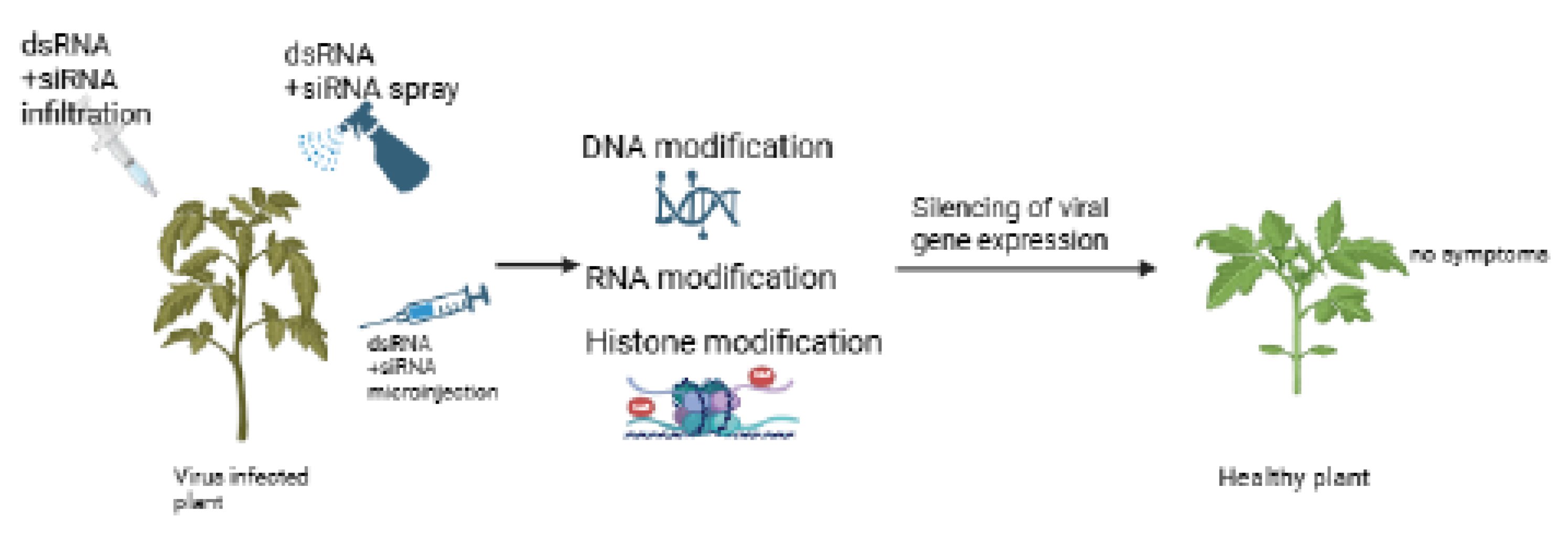 Preprints 175261 g008