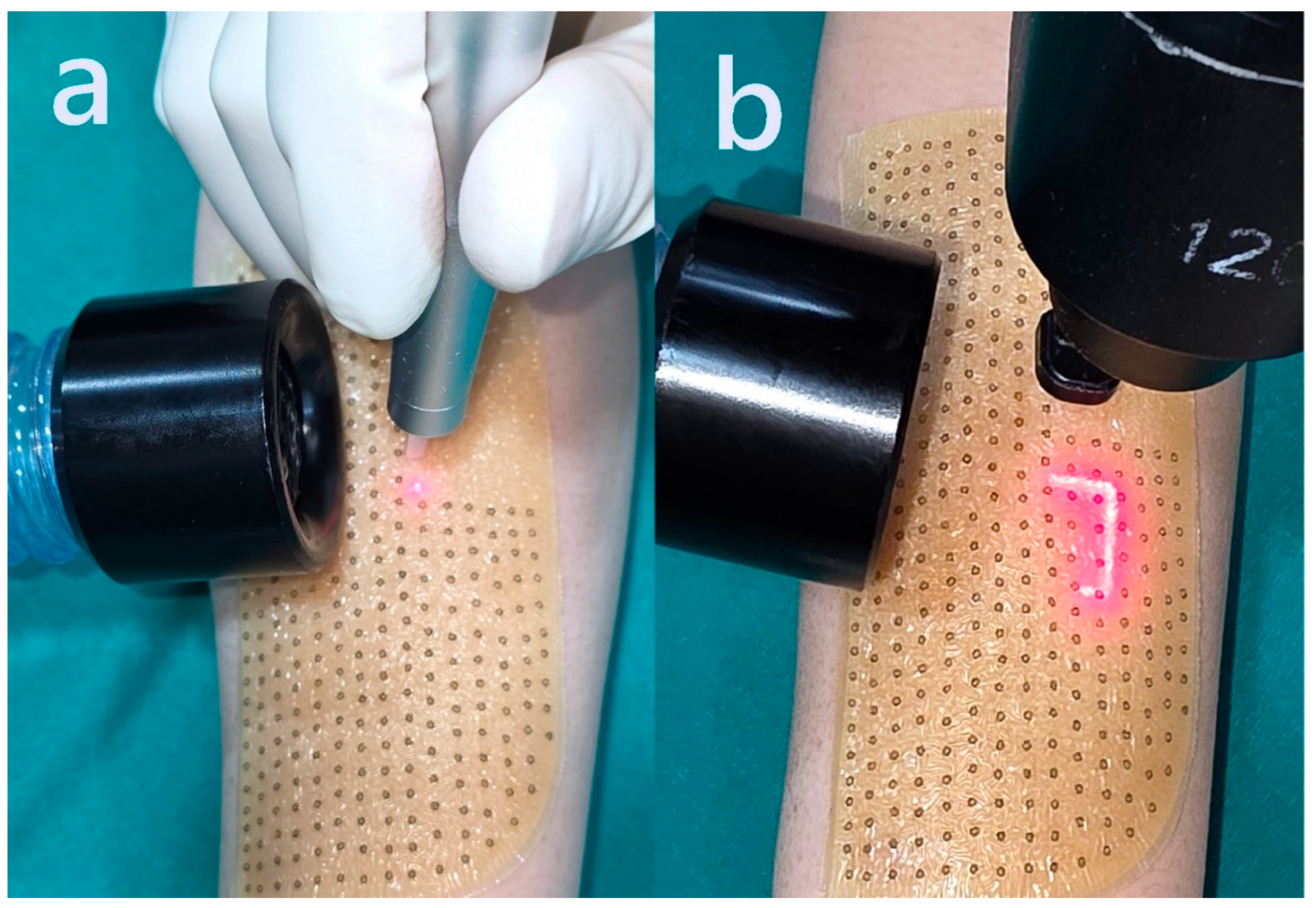 Preprints 171878 g001