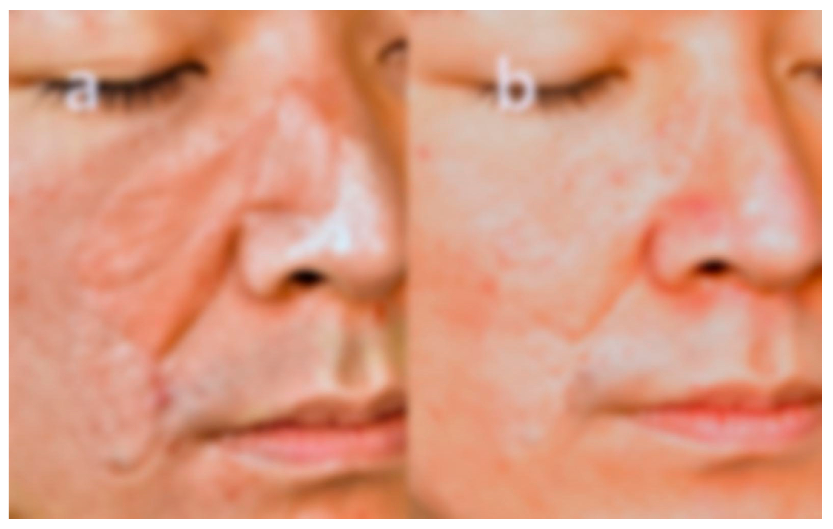 Preprints 171878 g005