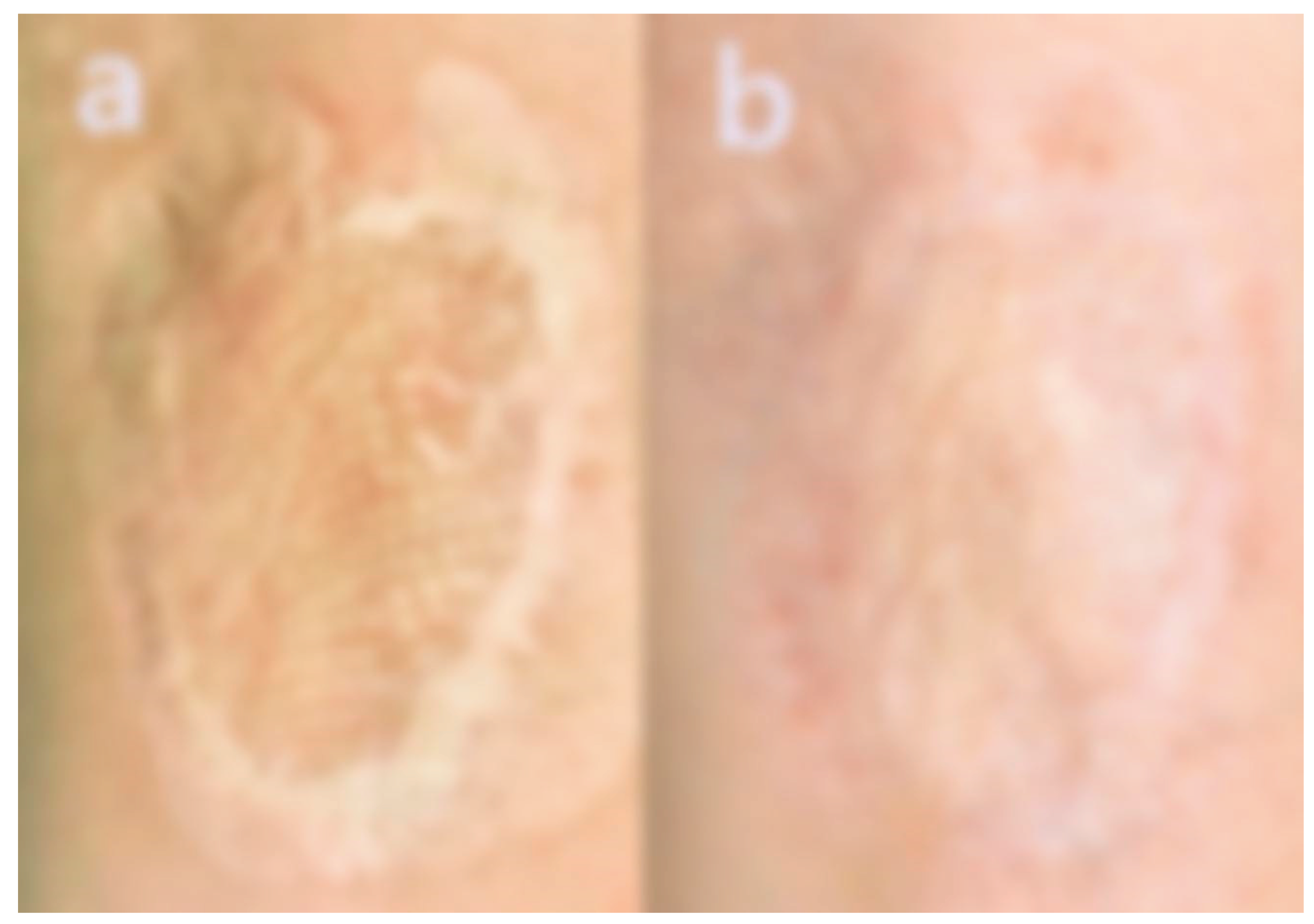 Preprints 171878 g007