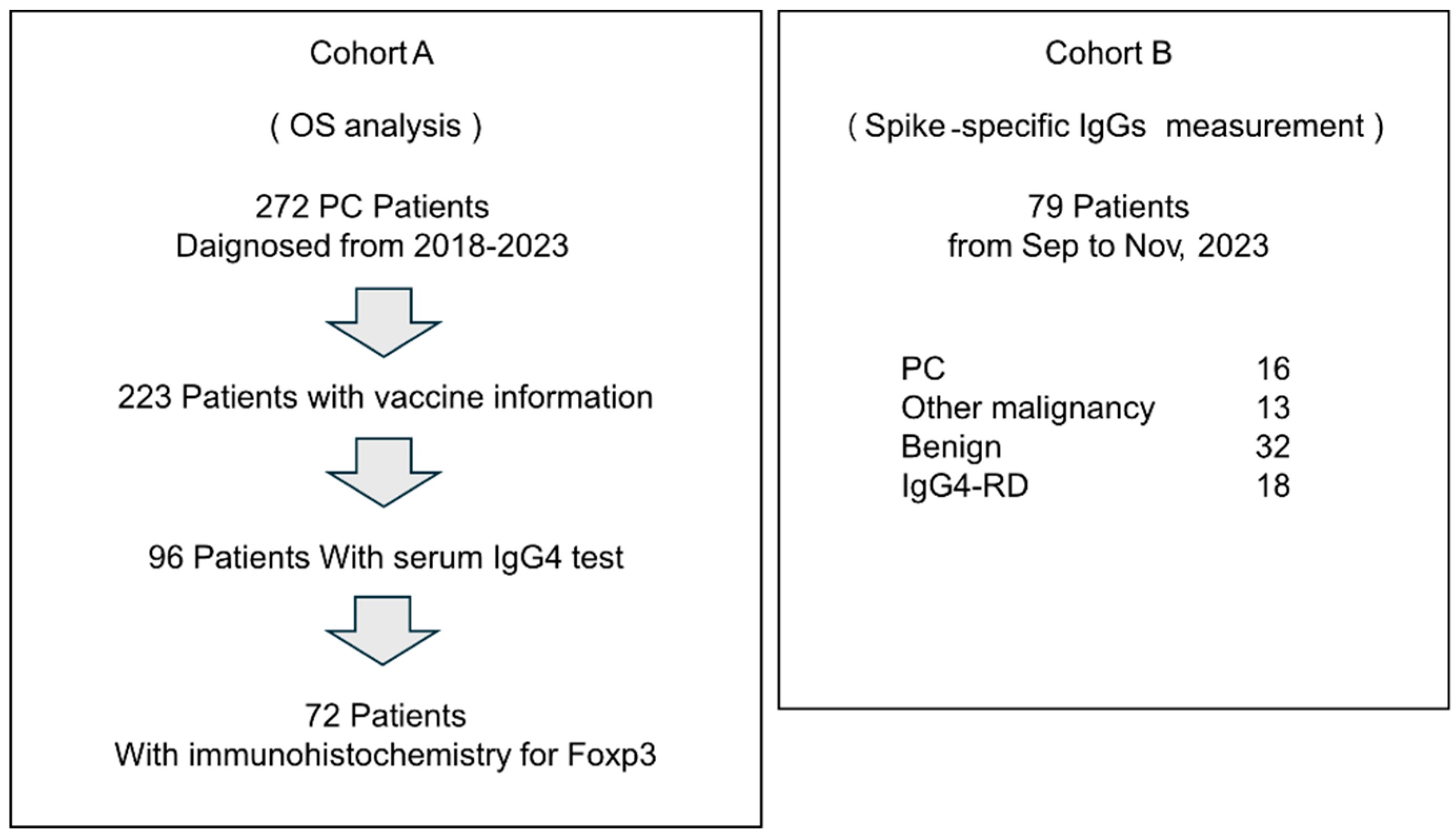 Preprints 155904 g001