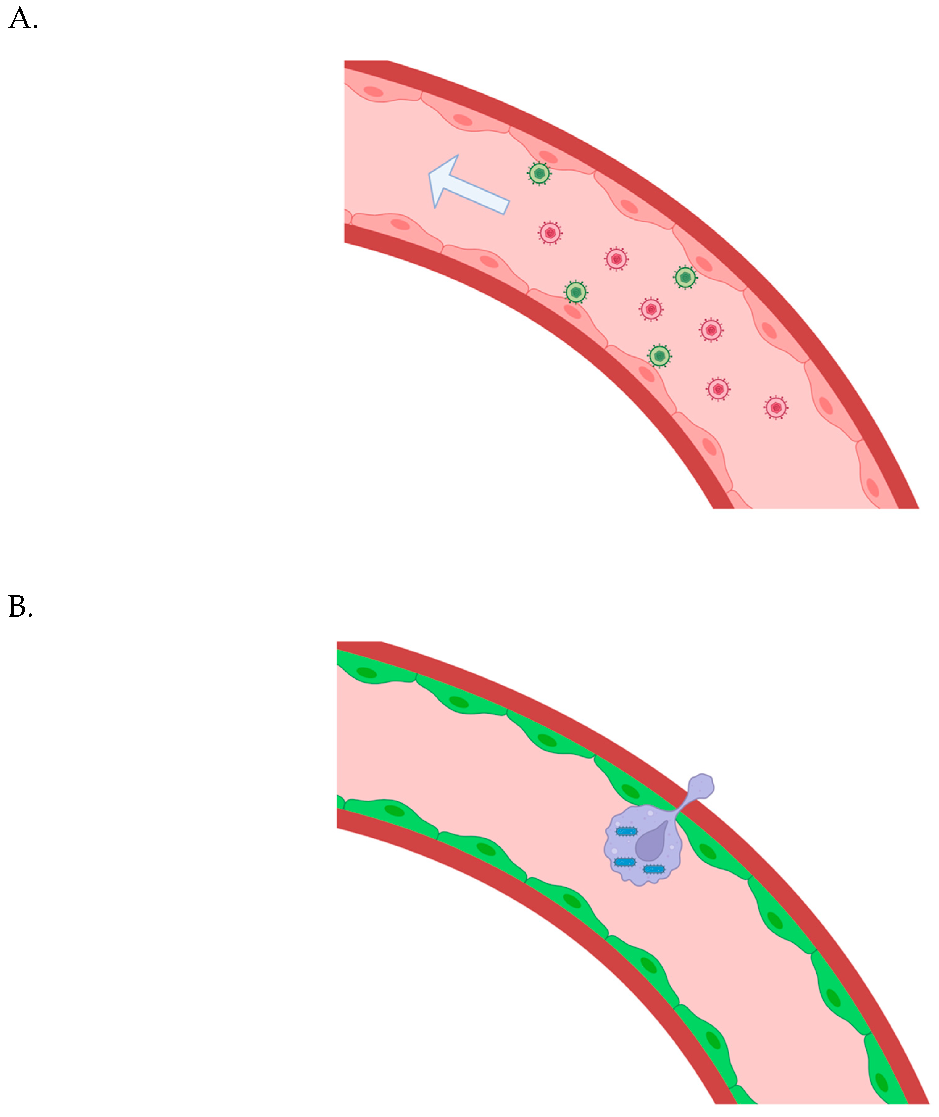 Preprints 68996 g001