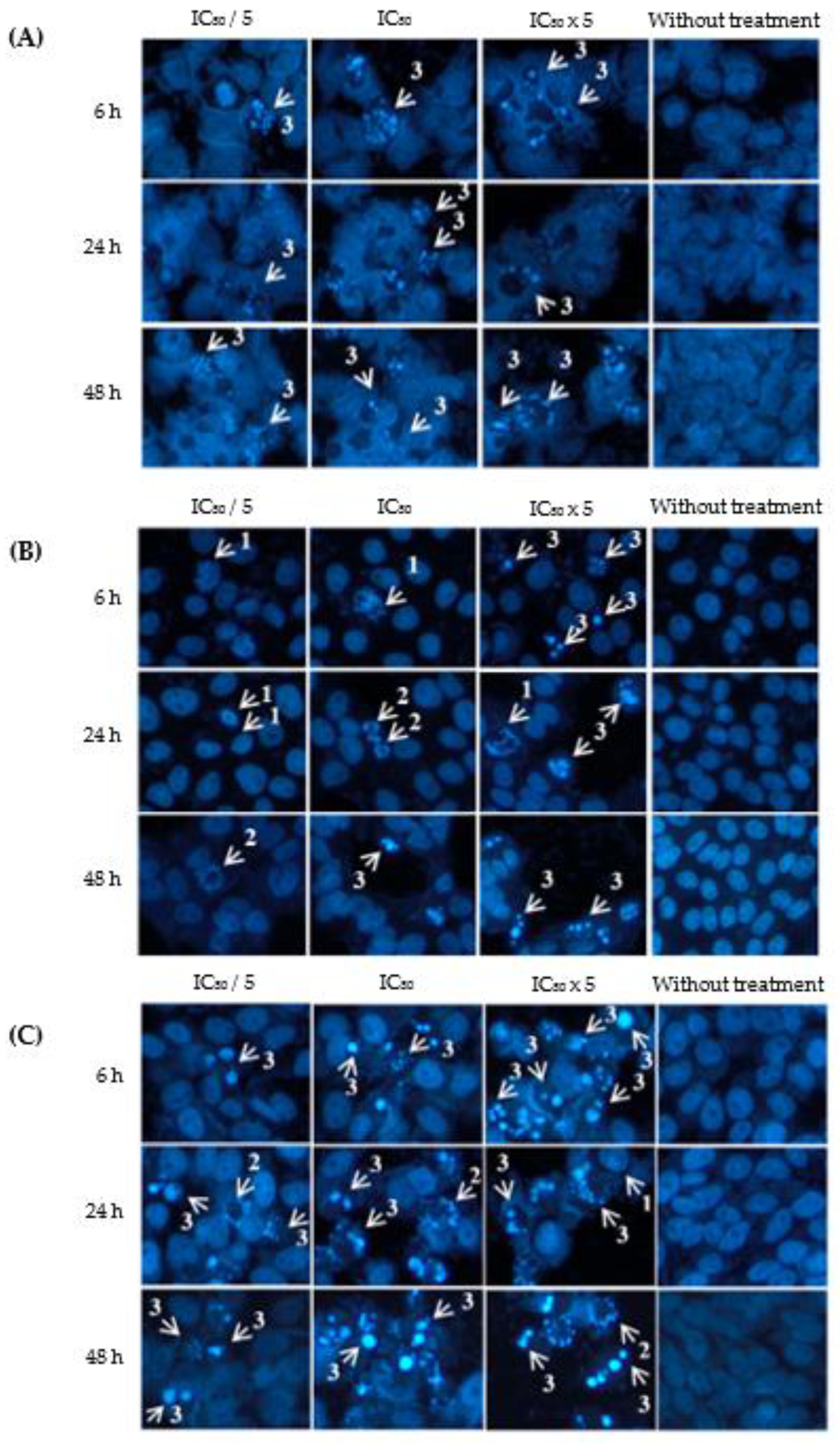 Preprints 73790 g003