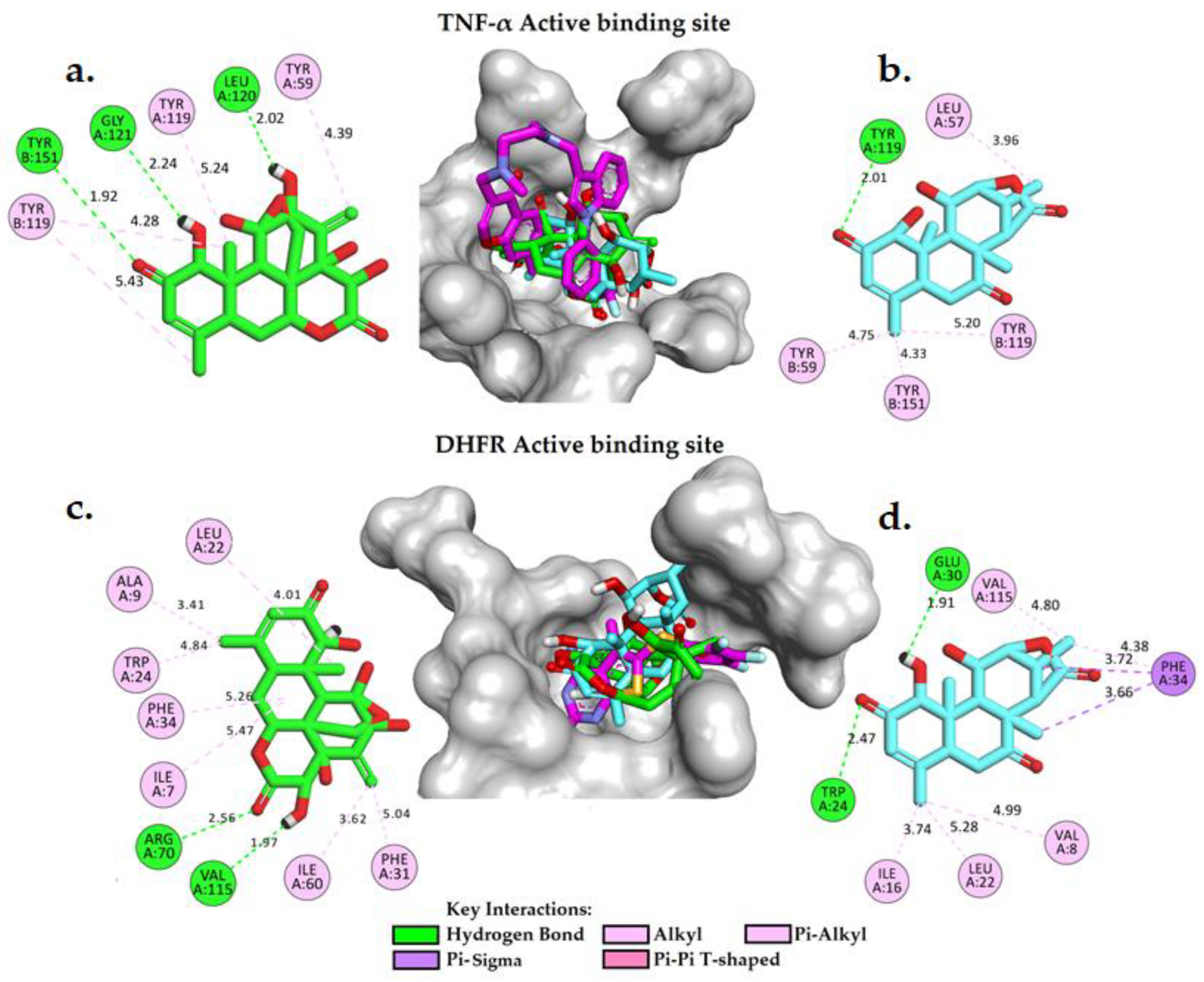 Preprints 73790 g005