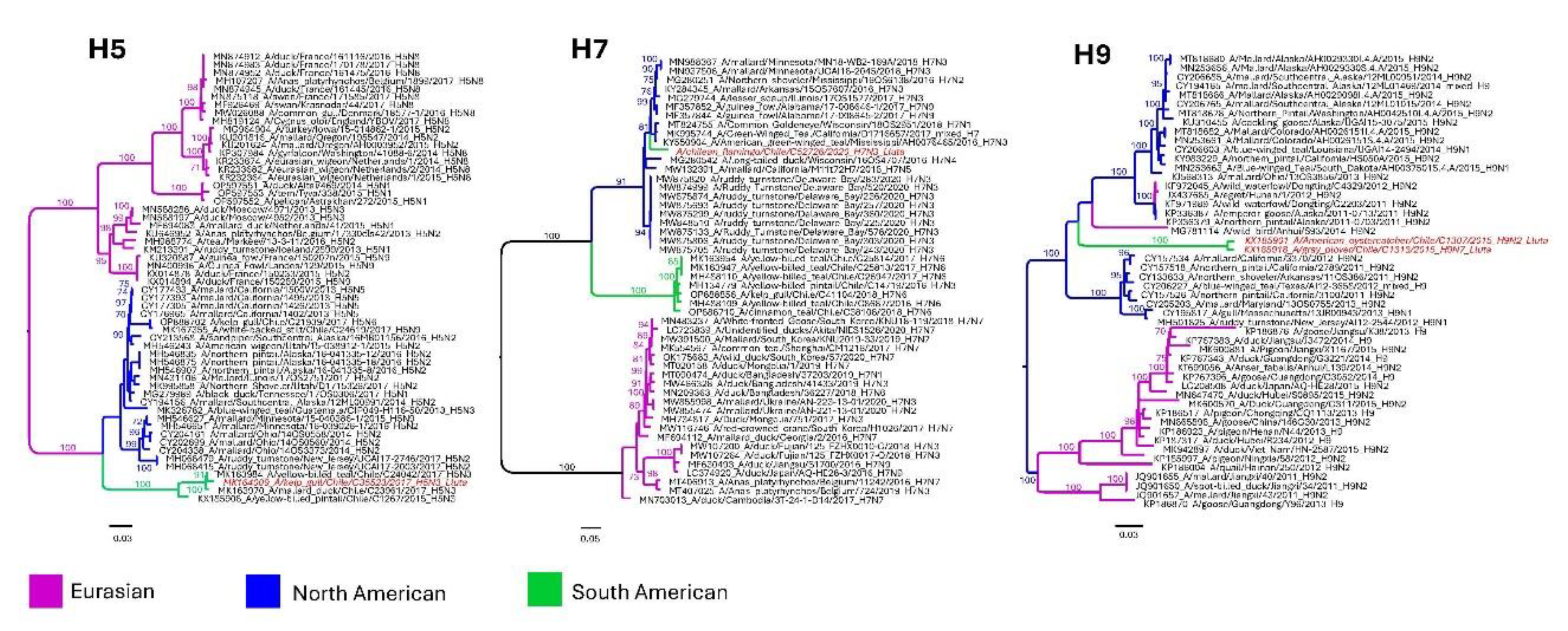 Preprints 72610 g004