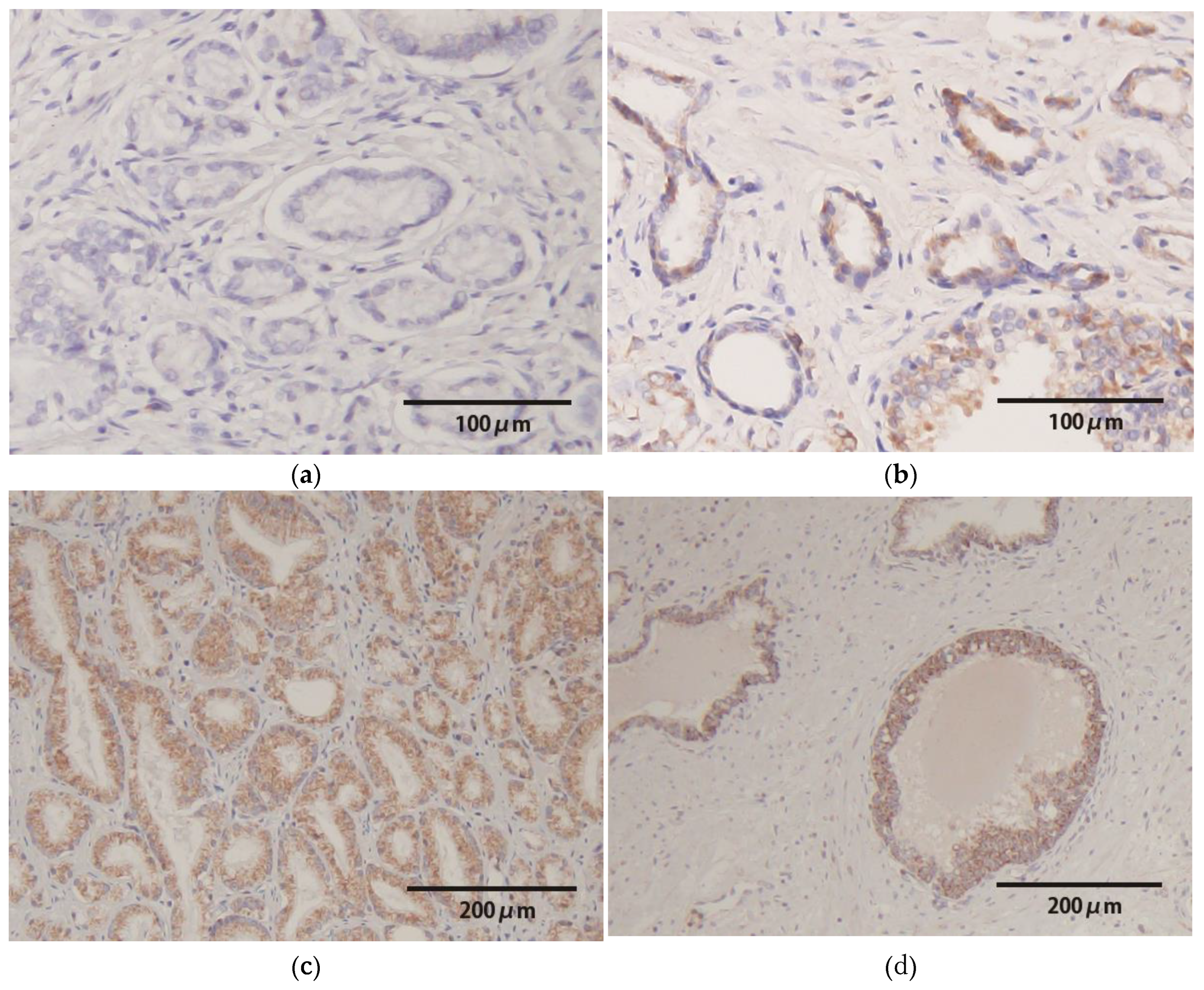 Preprints 171932 g001