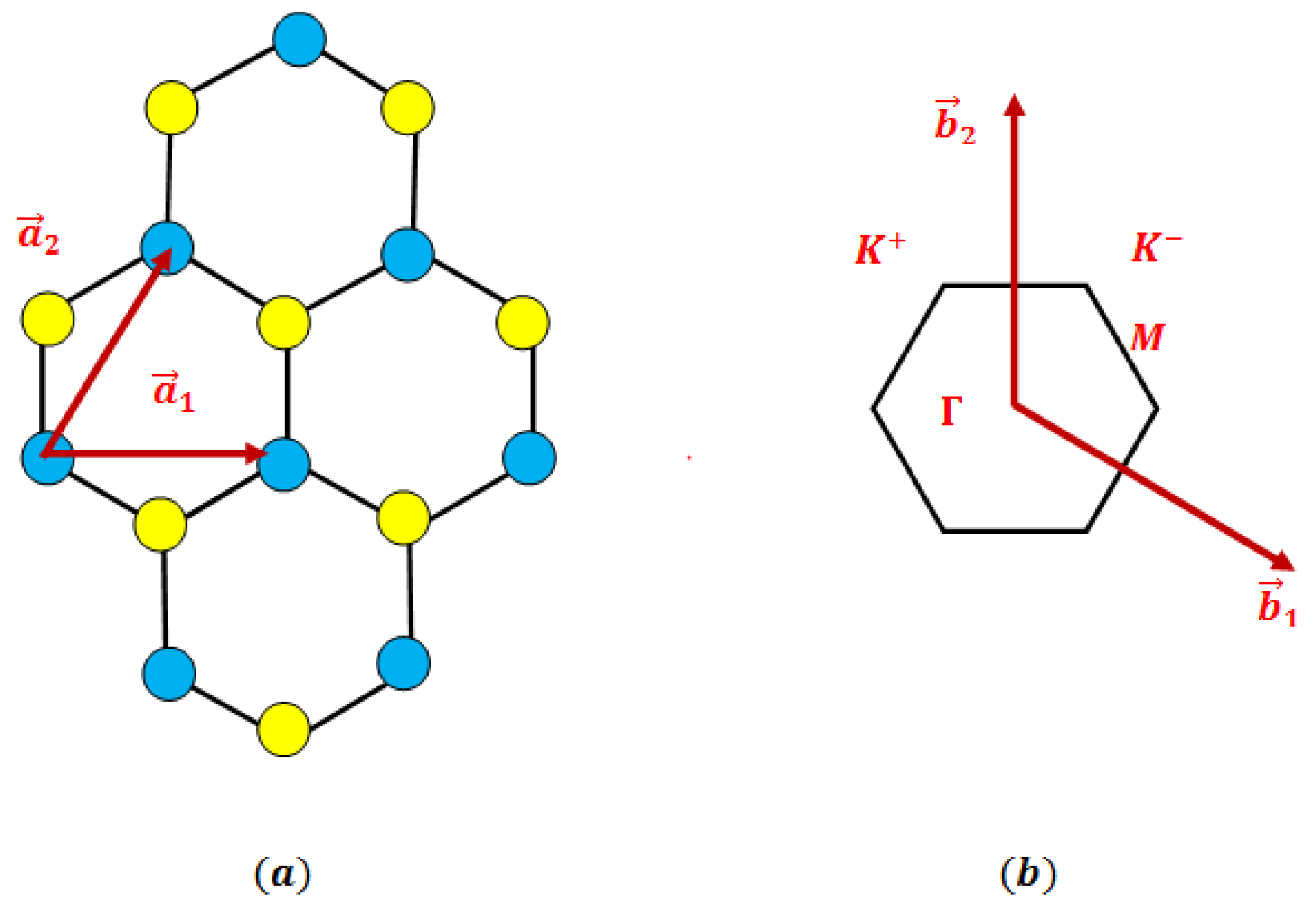 Preprints 160554 g001