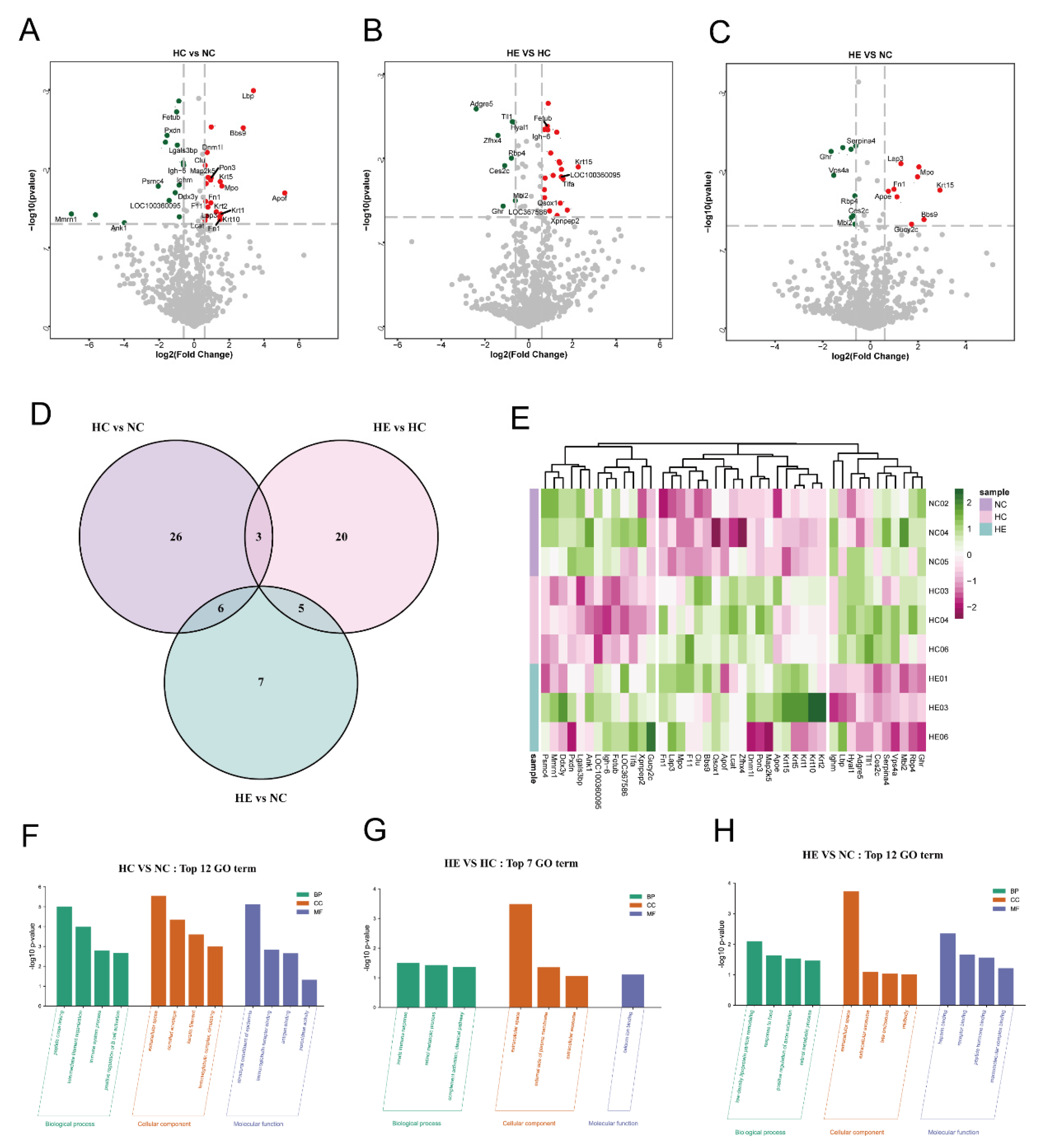 Preprints 197295 g004