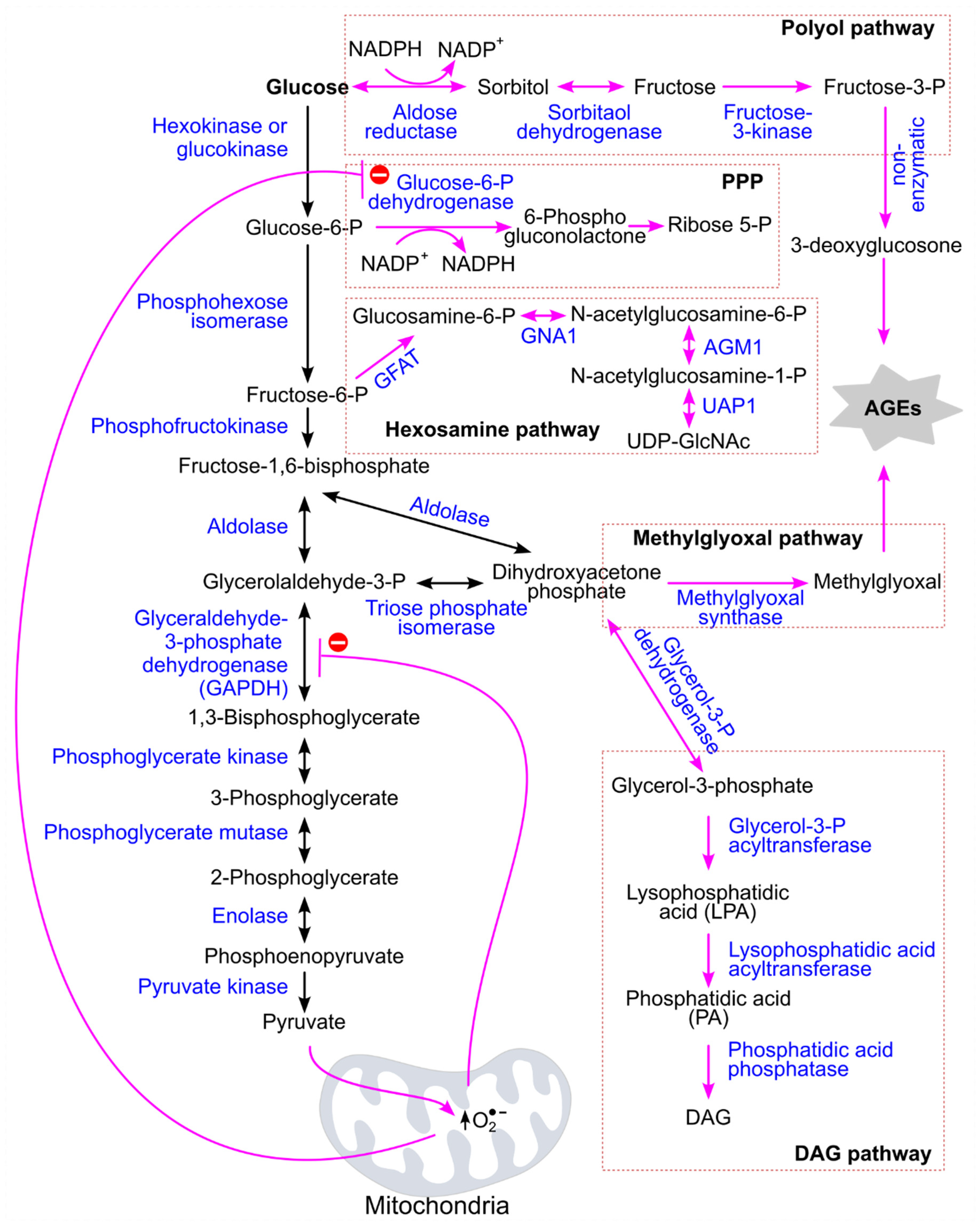 Preprints 207635 g007 Preprints 207635 g007