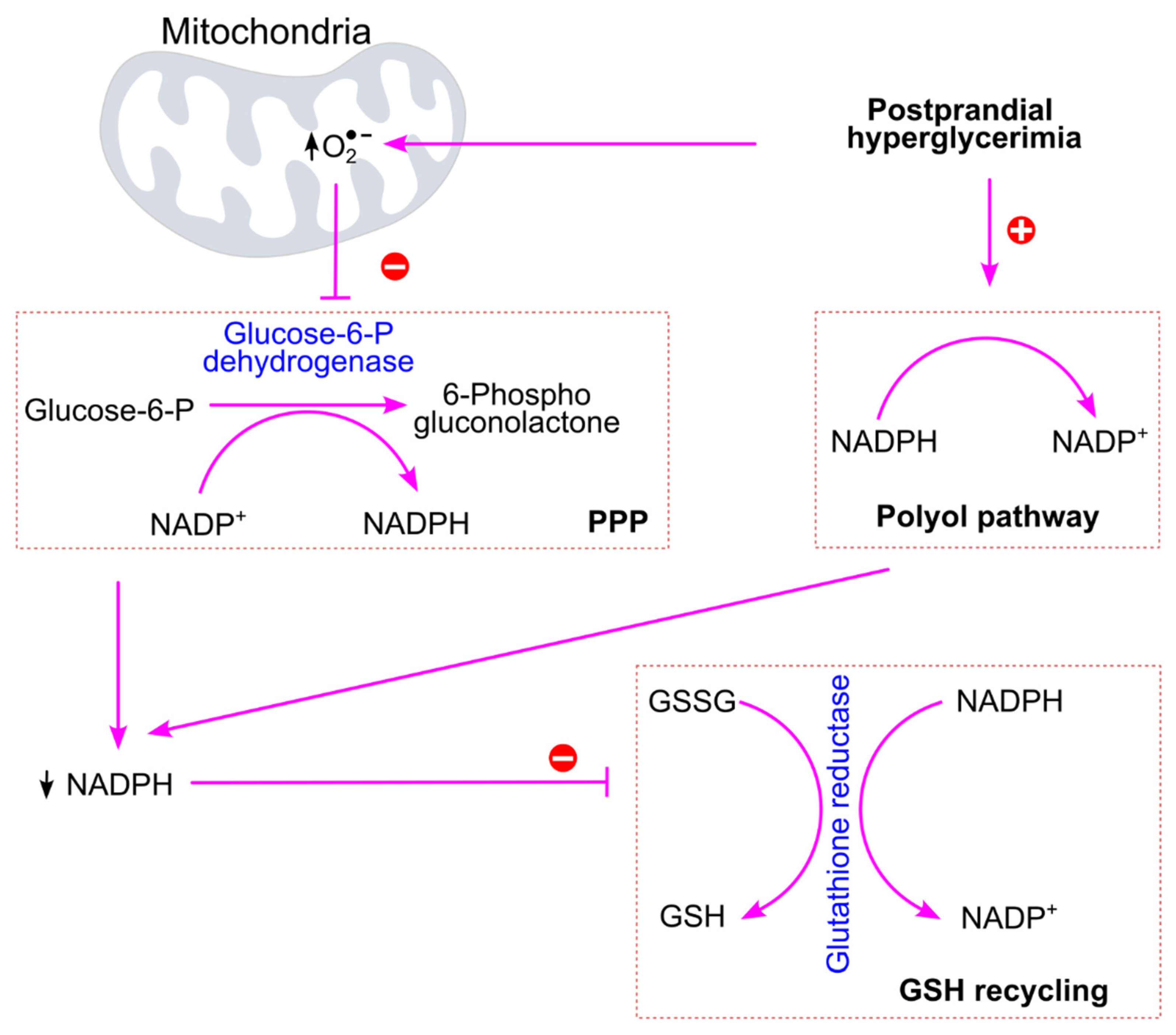 Preprints 207635 g008 Preprints 207635 g008