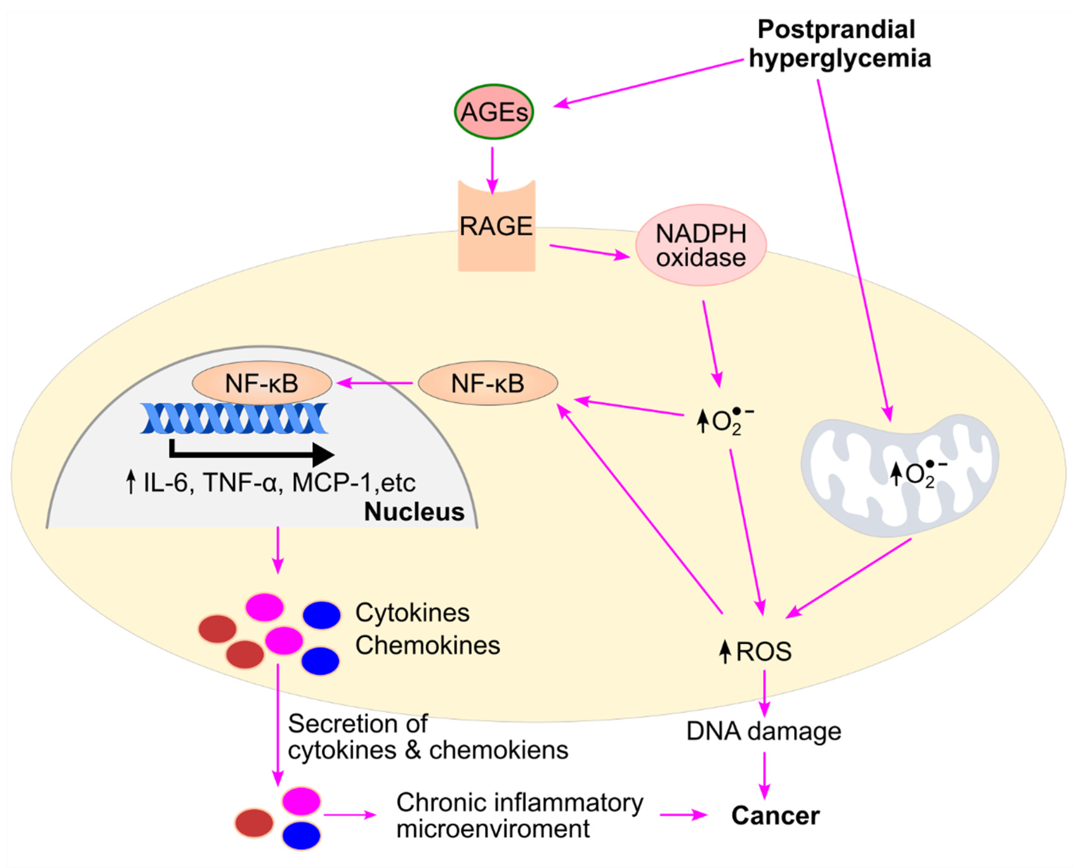 Preprints 207635 g009 Preprints 207635 g009