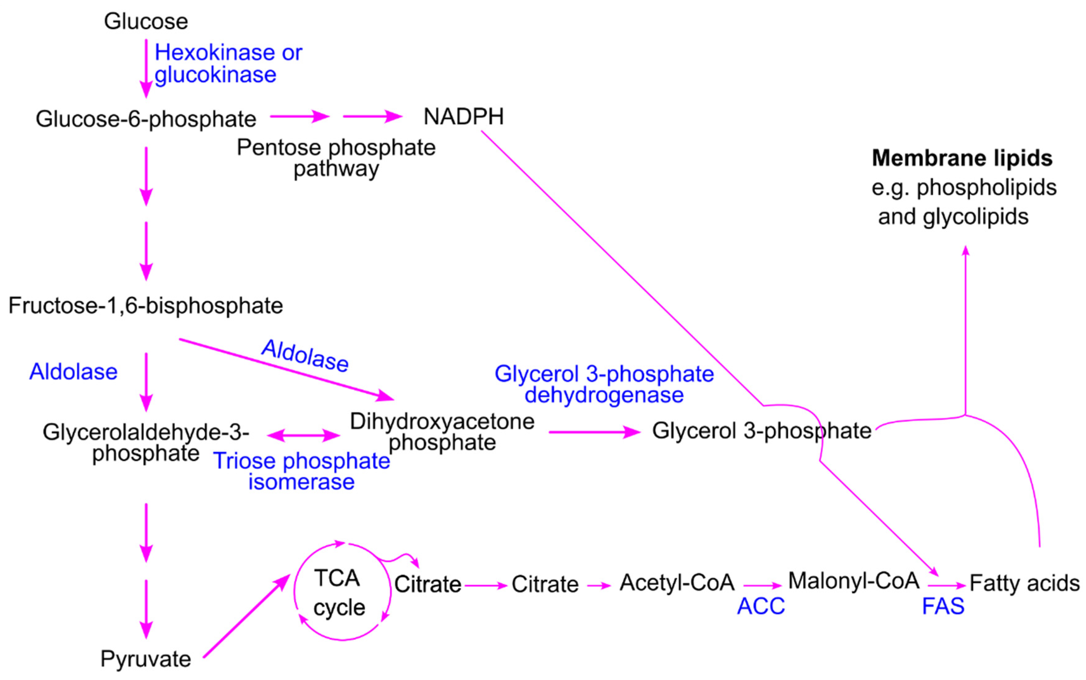 Preprints 207635 g010 Preprints 207635 g010