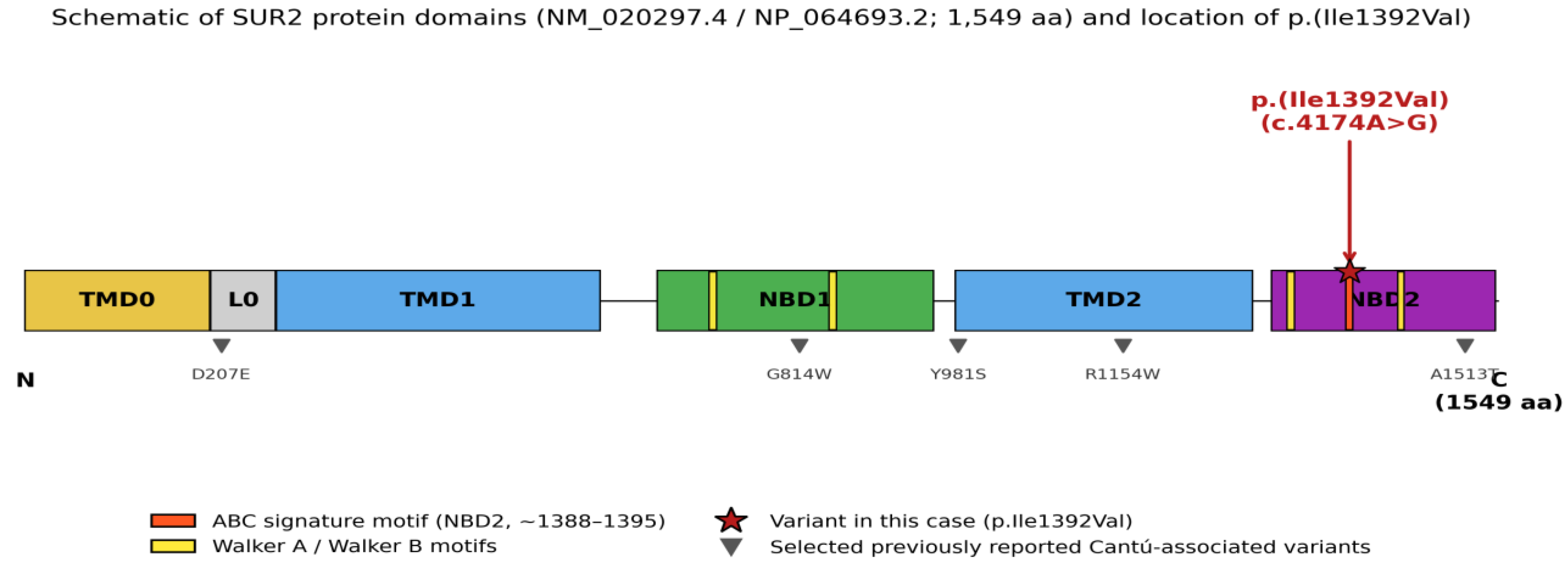 Preprints 216453 g006 Preprints 216453 g006