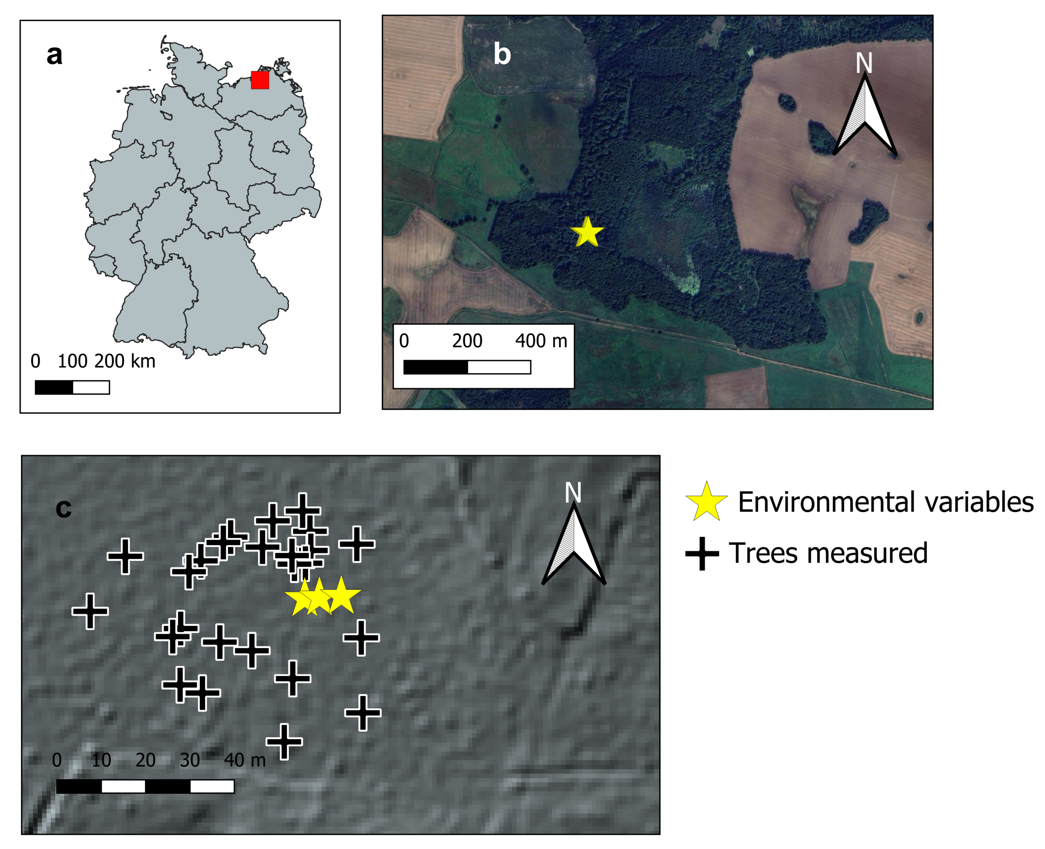 Preprints 146732 g001