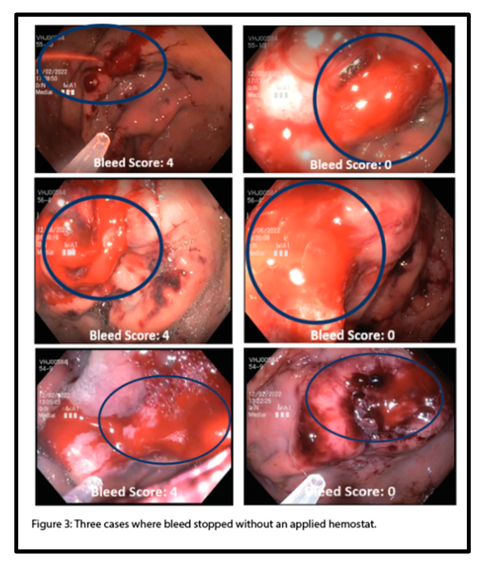 Preprints 143133 i003