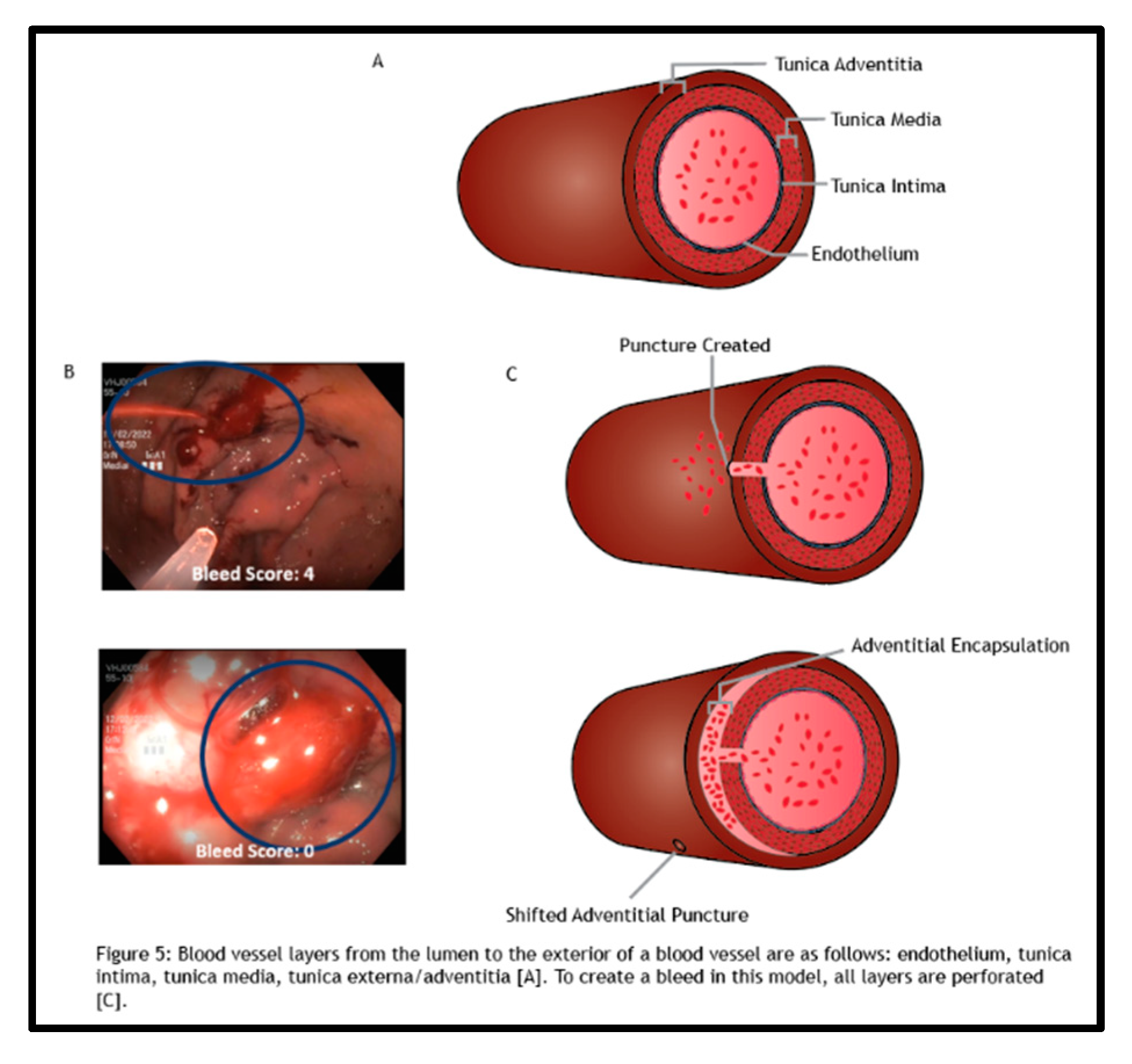 Preprints 143133 i005