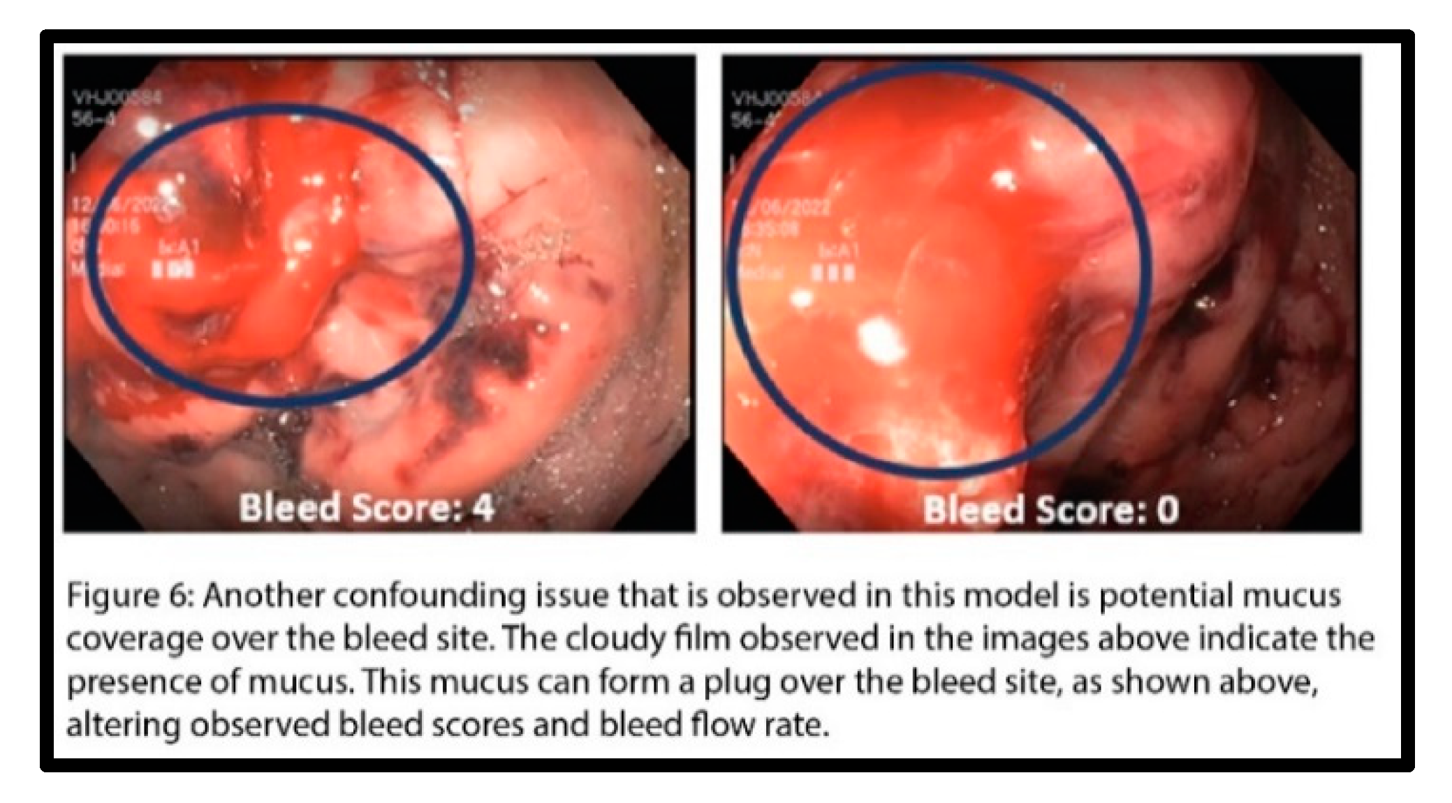 Preprints 143133 i006