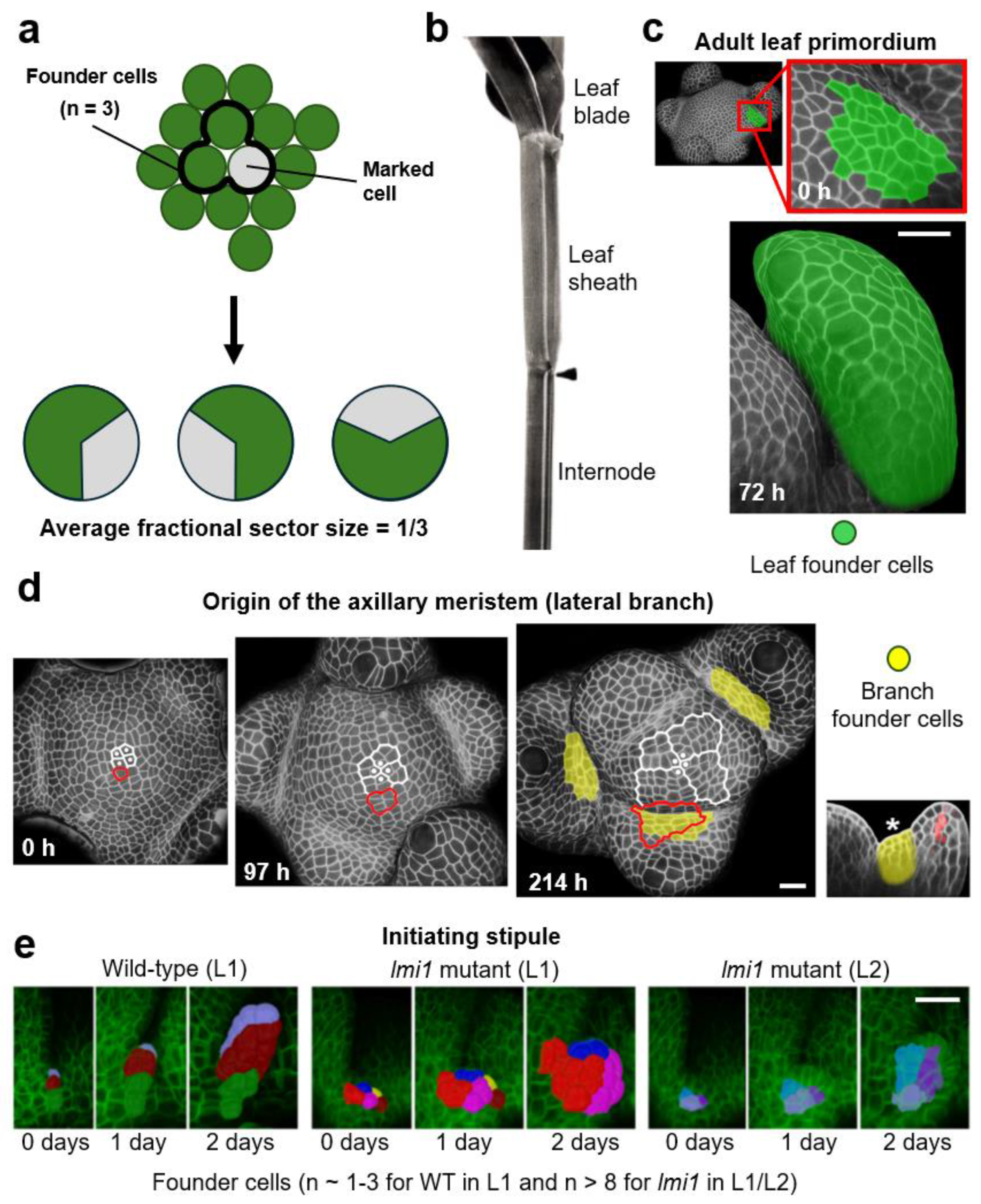 Preprints 220281 g001
