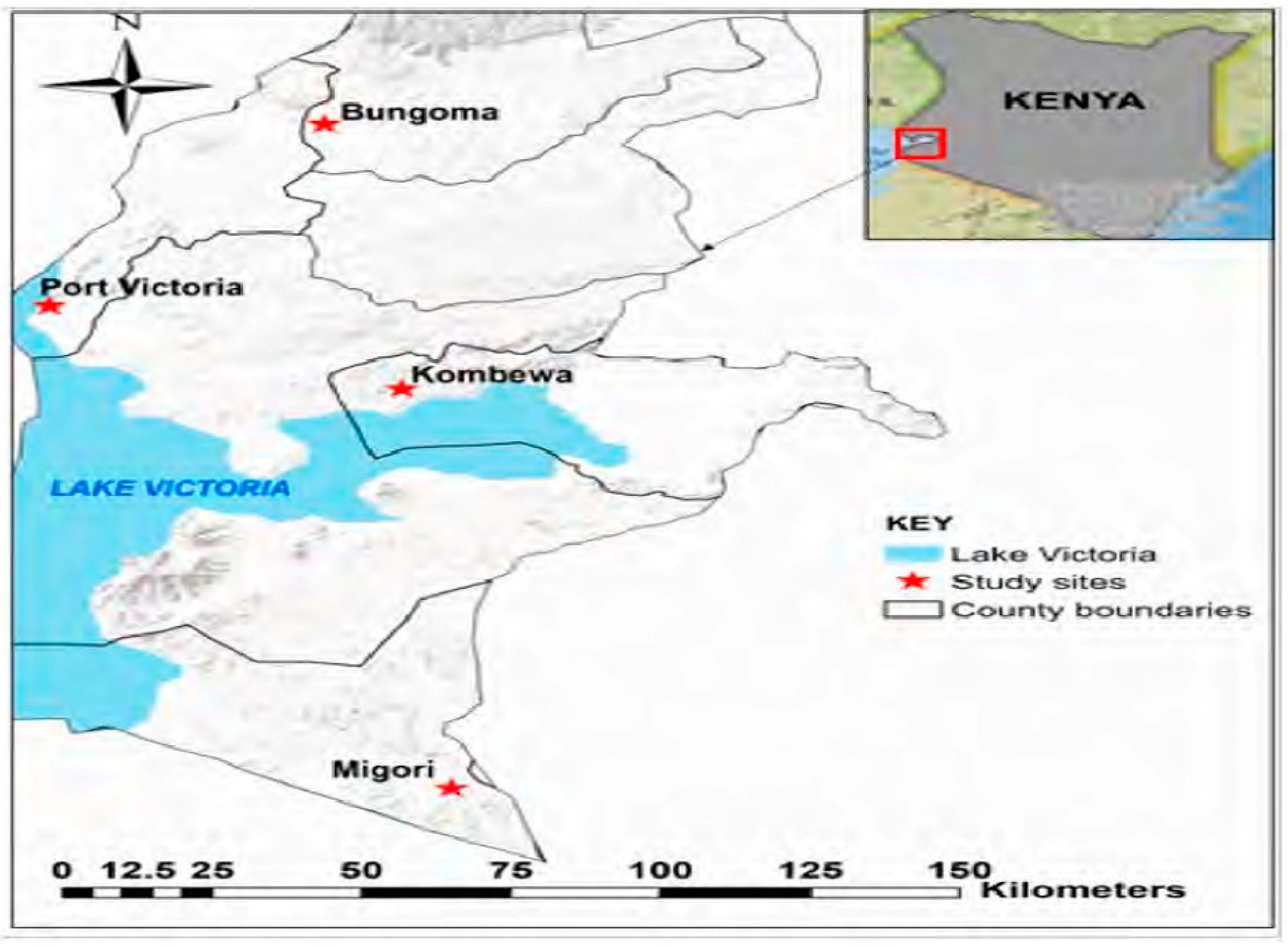 Preprints 67882 g001