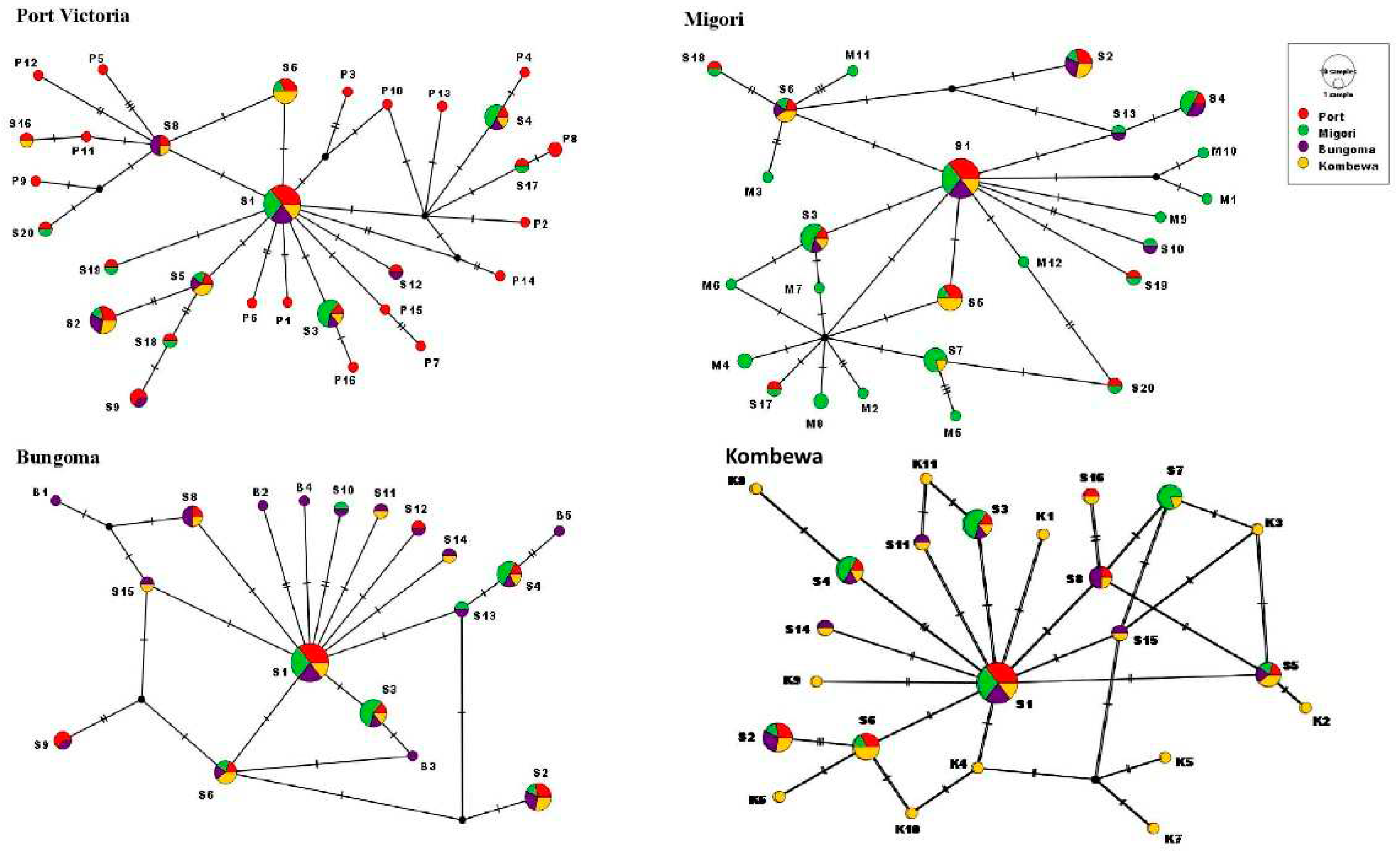 Preprints 67882 g003