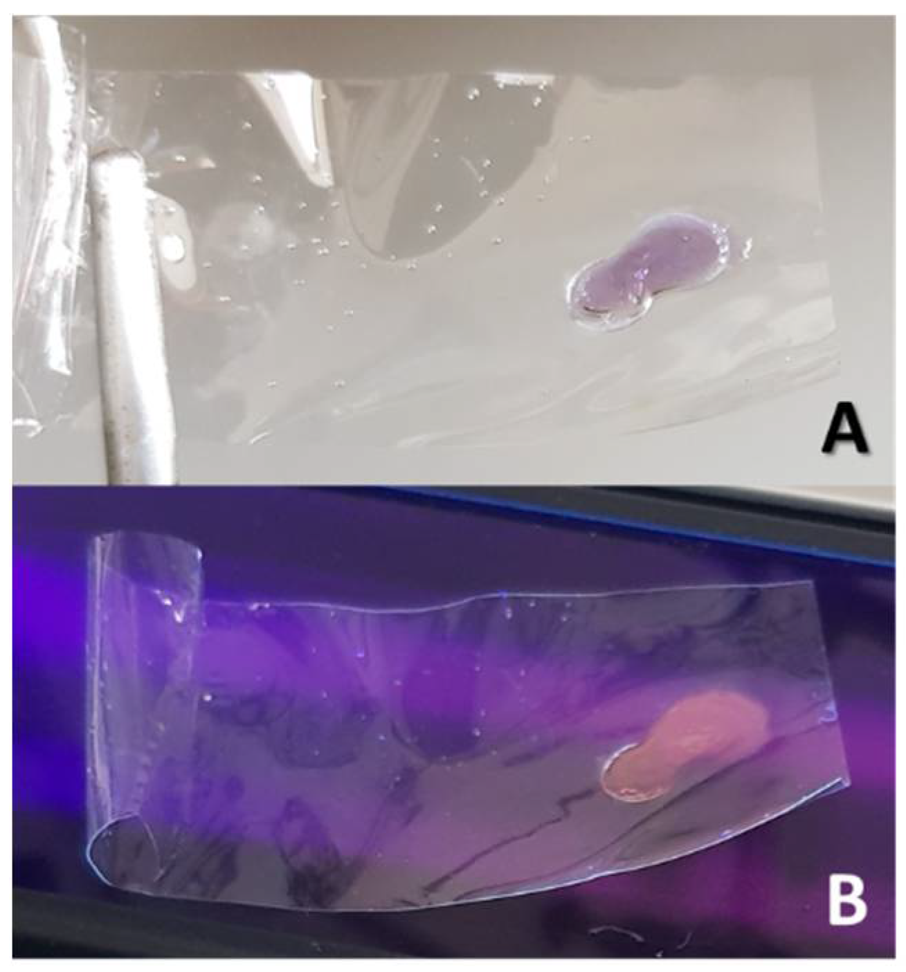 Preprints 107627 g001