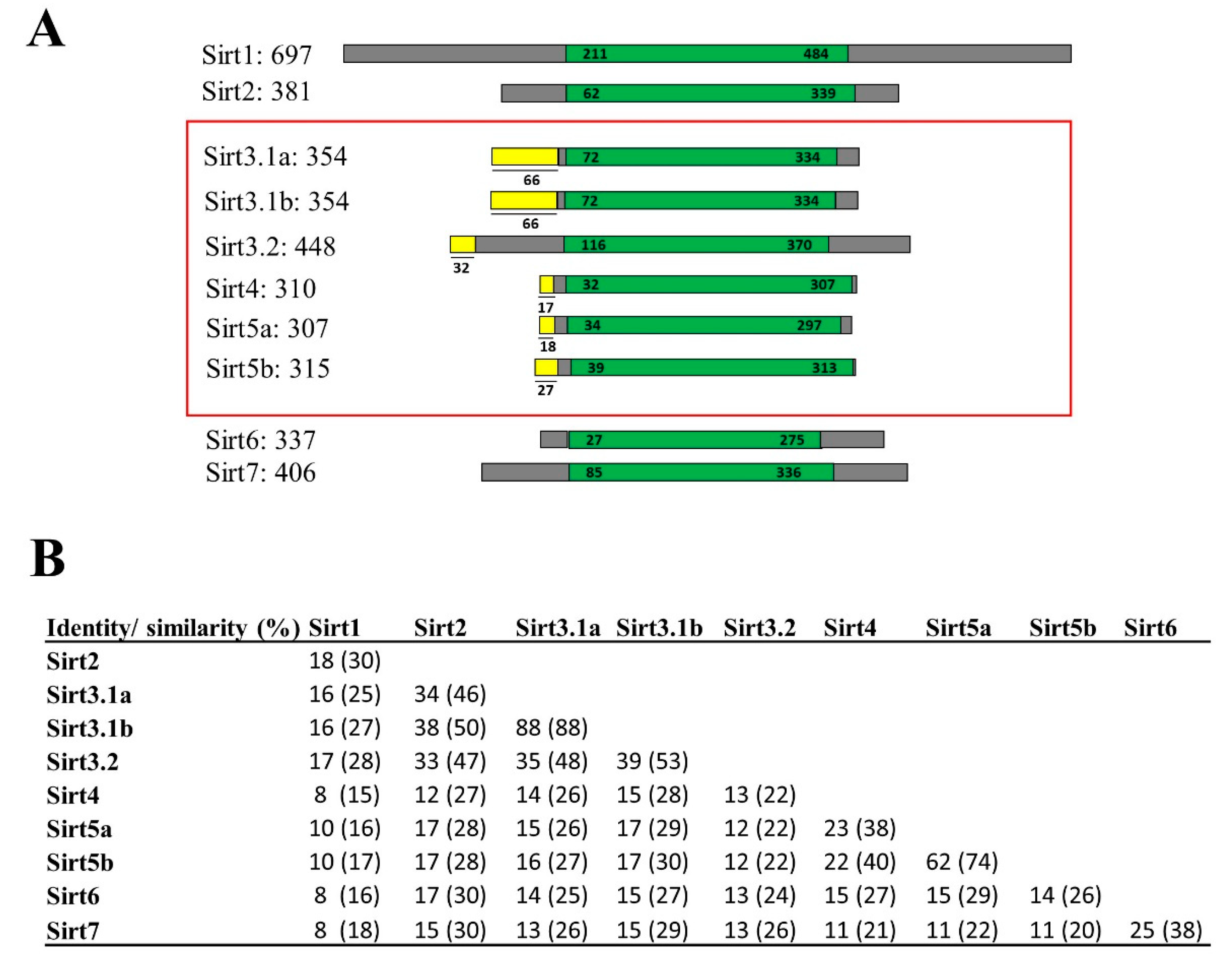 Preprints 104185 g001