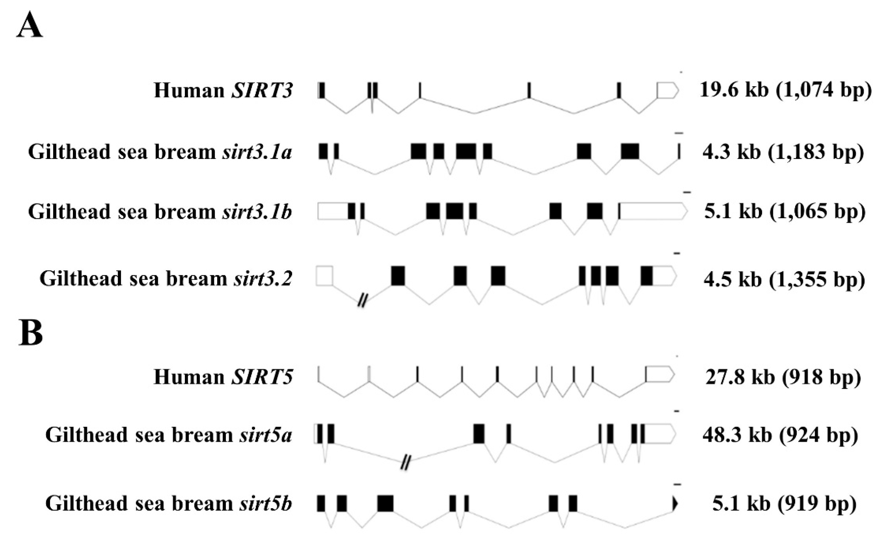 Preprints 104185 g002