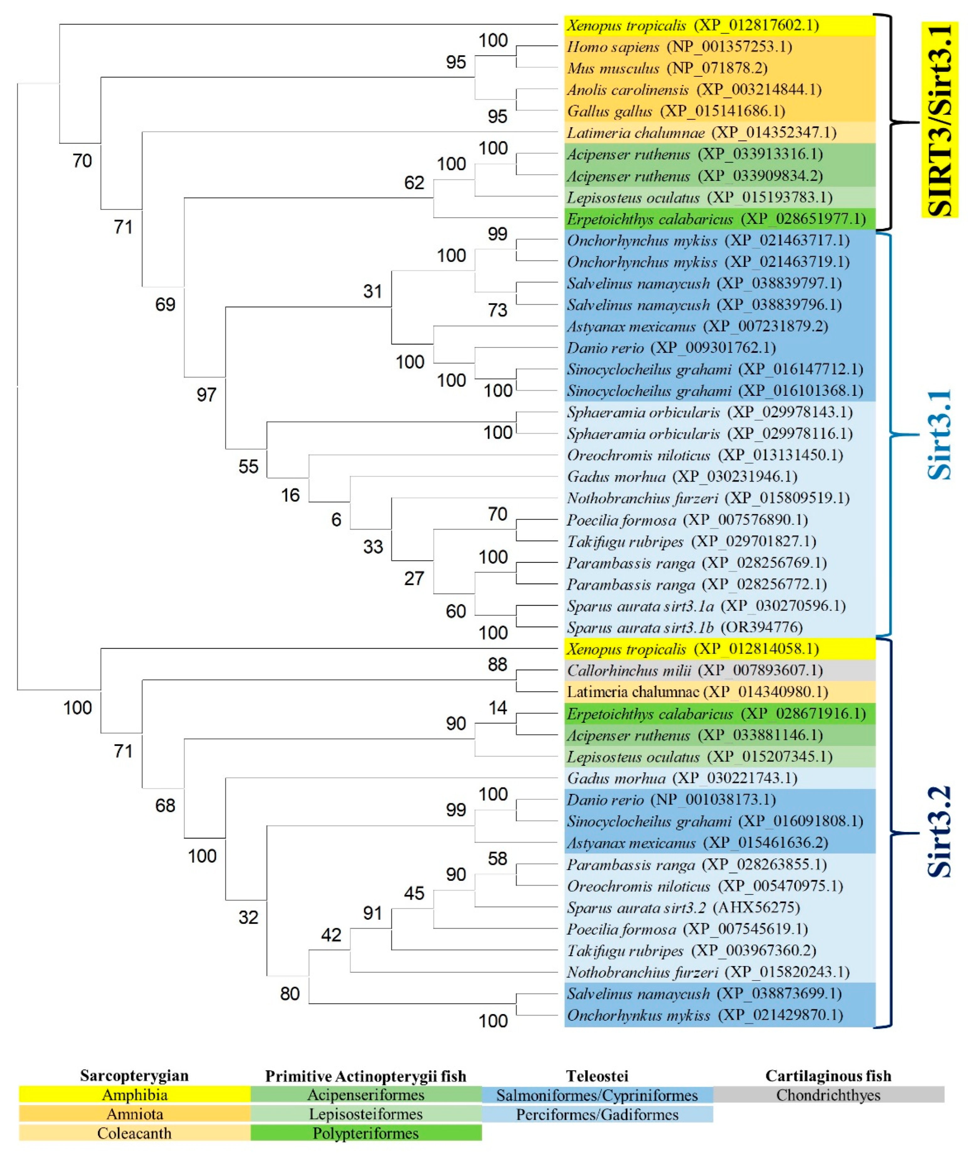 Preprints 104185 g003