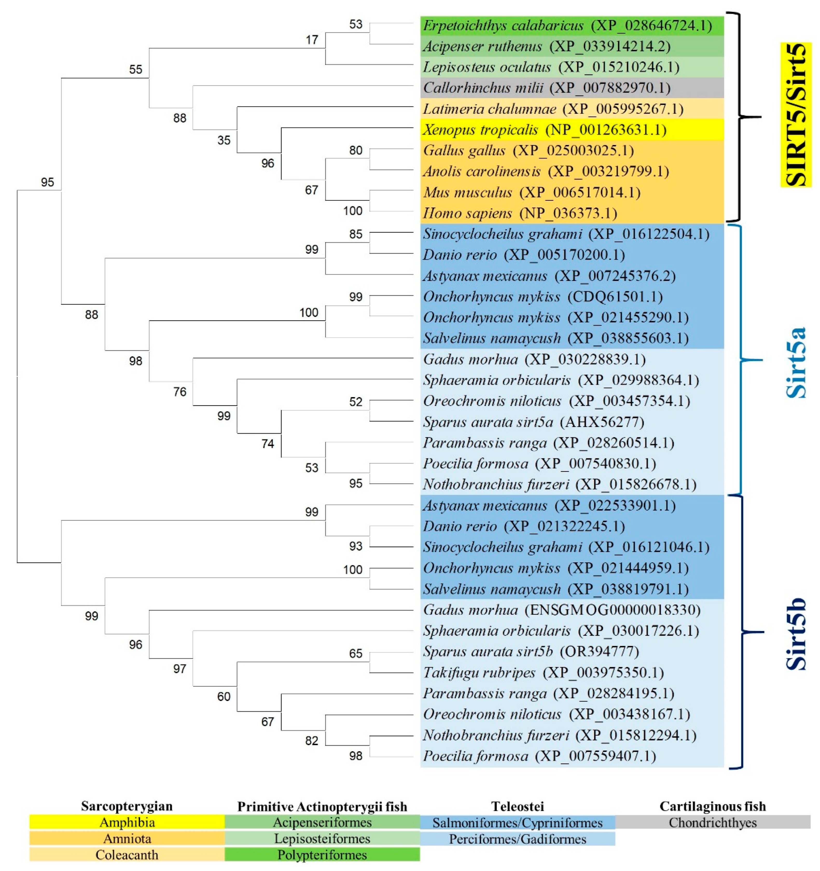 Preprints 104185 g005