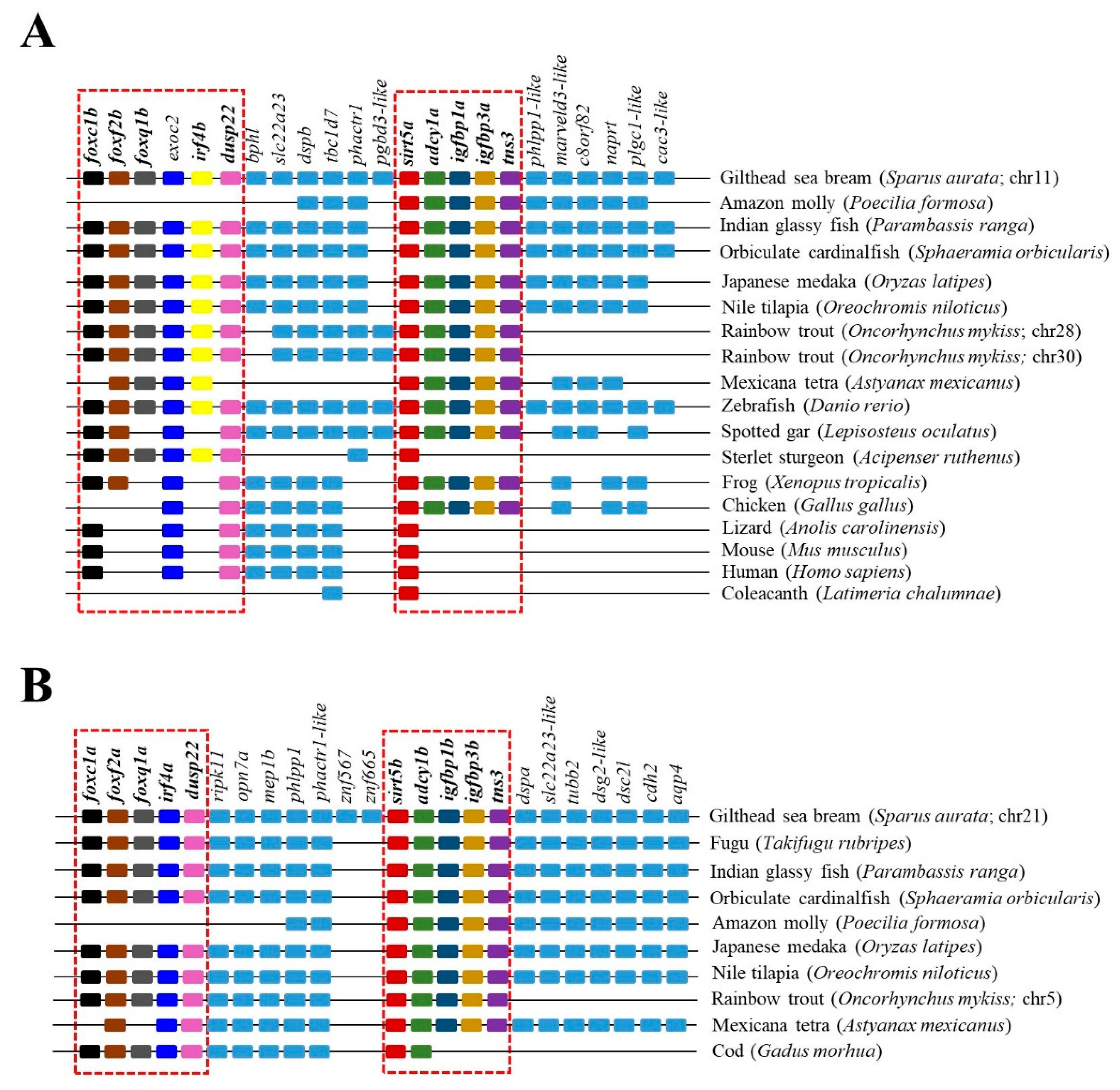 Preprints 104185 g006
