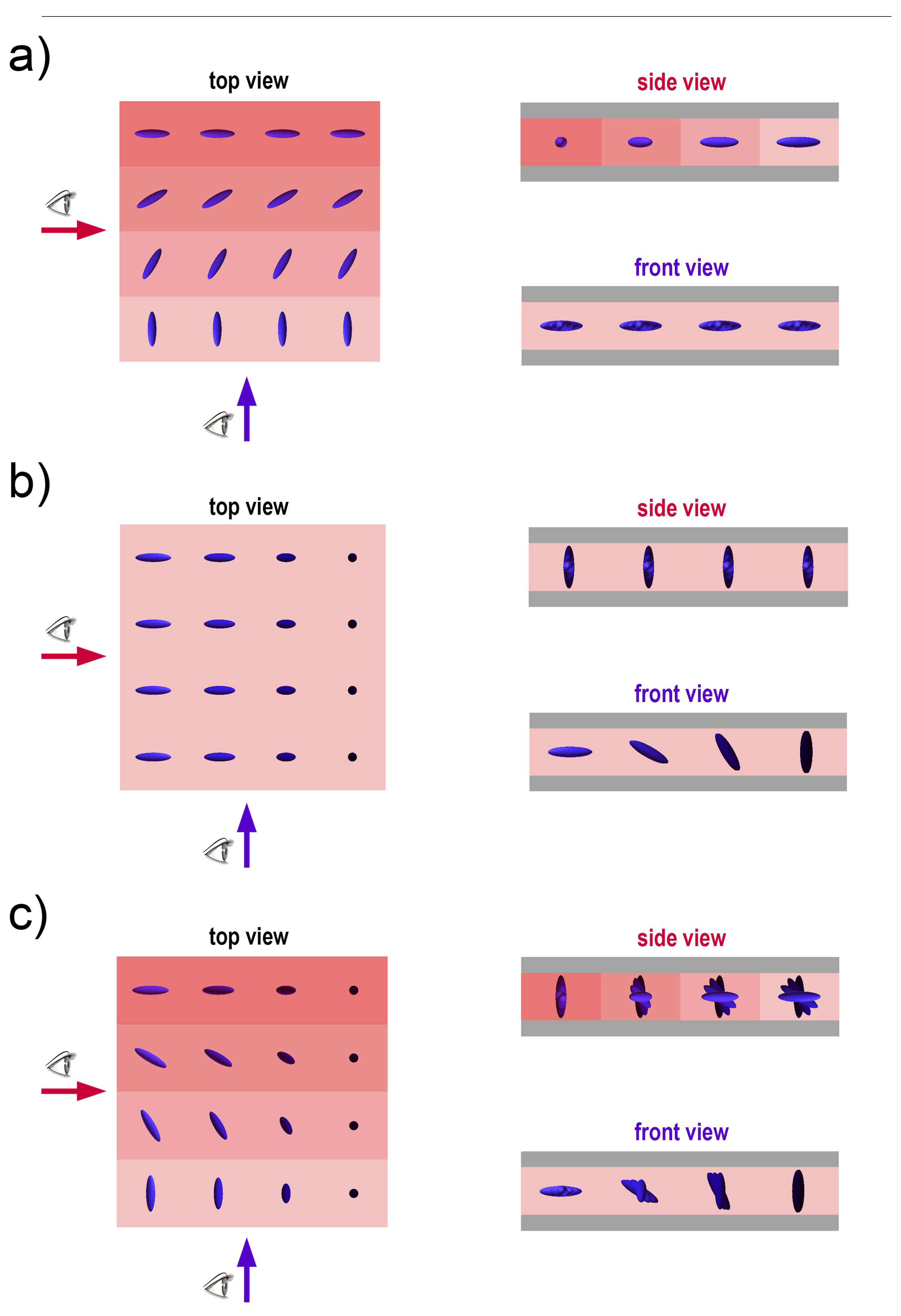 Preprints 146391 g002