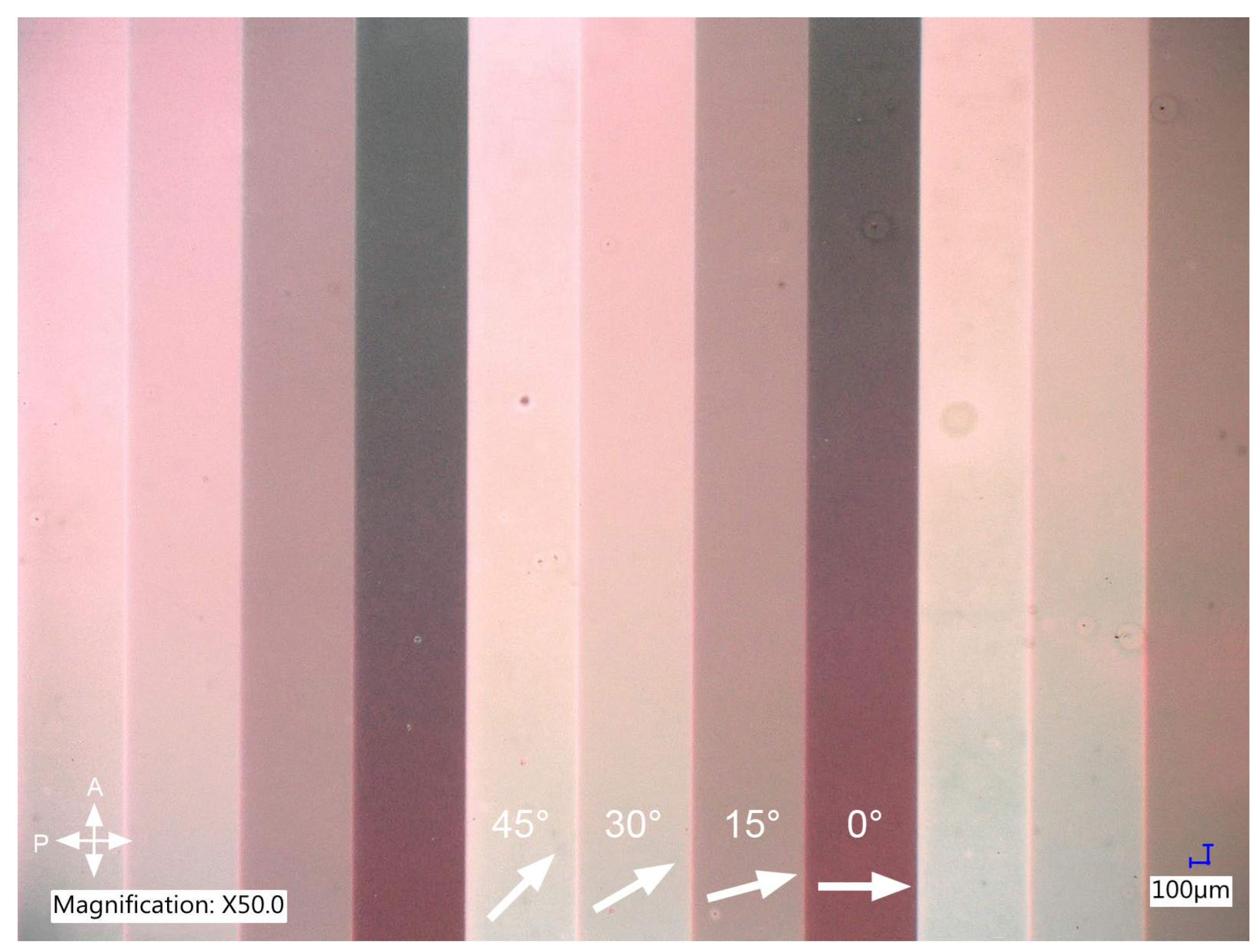 Preprints 146391 g003