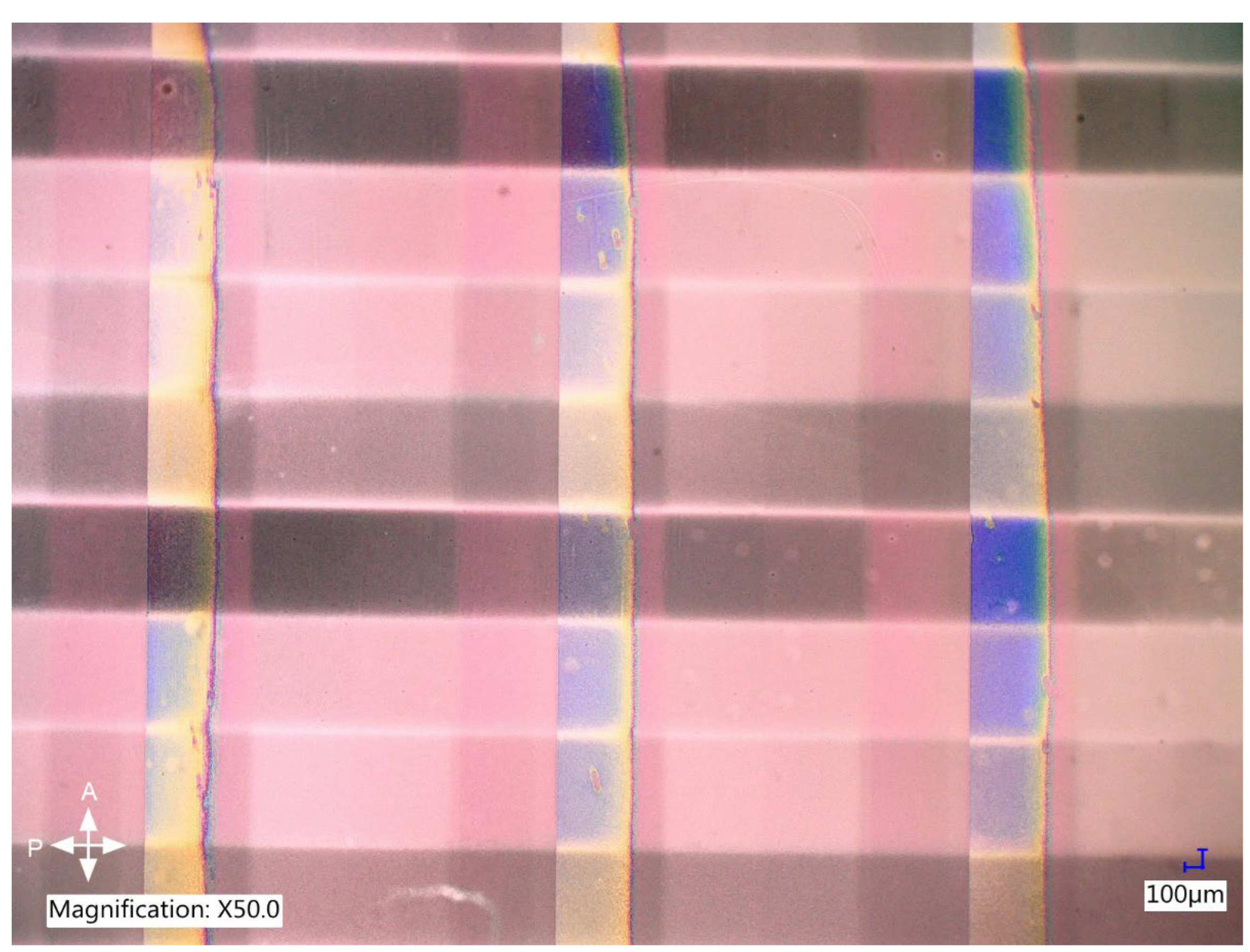 Preprints 146391 g005
