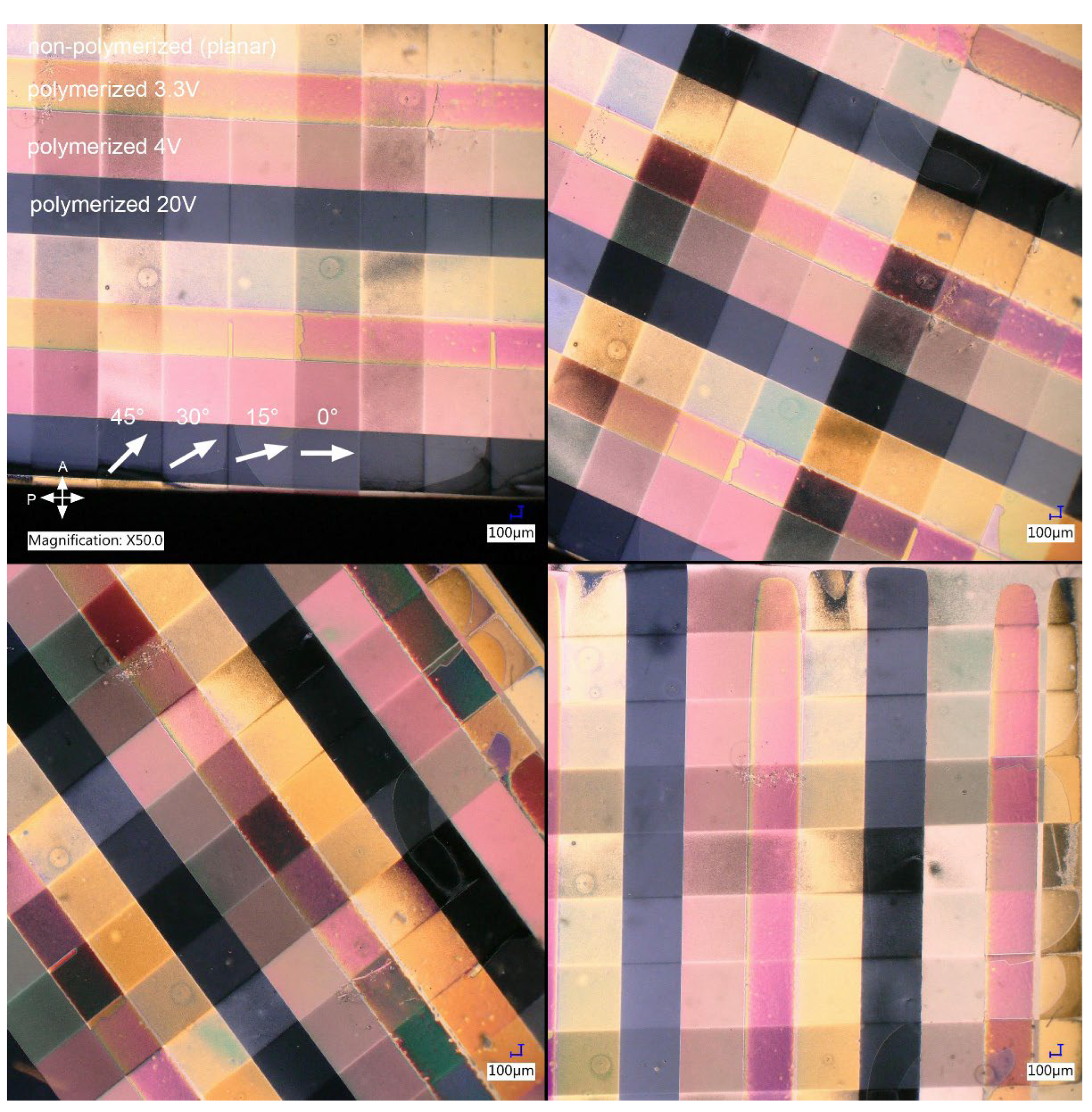 Preprints 146391 g006