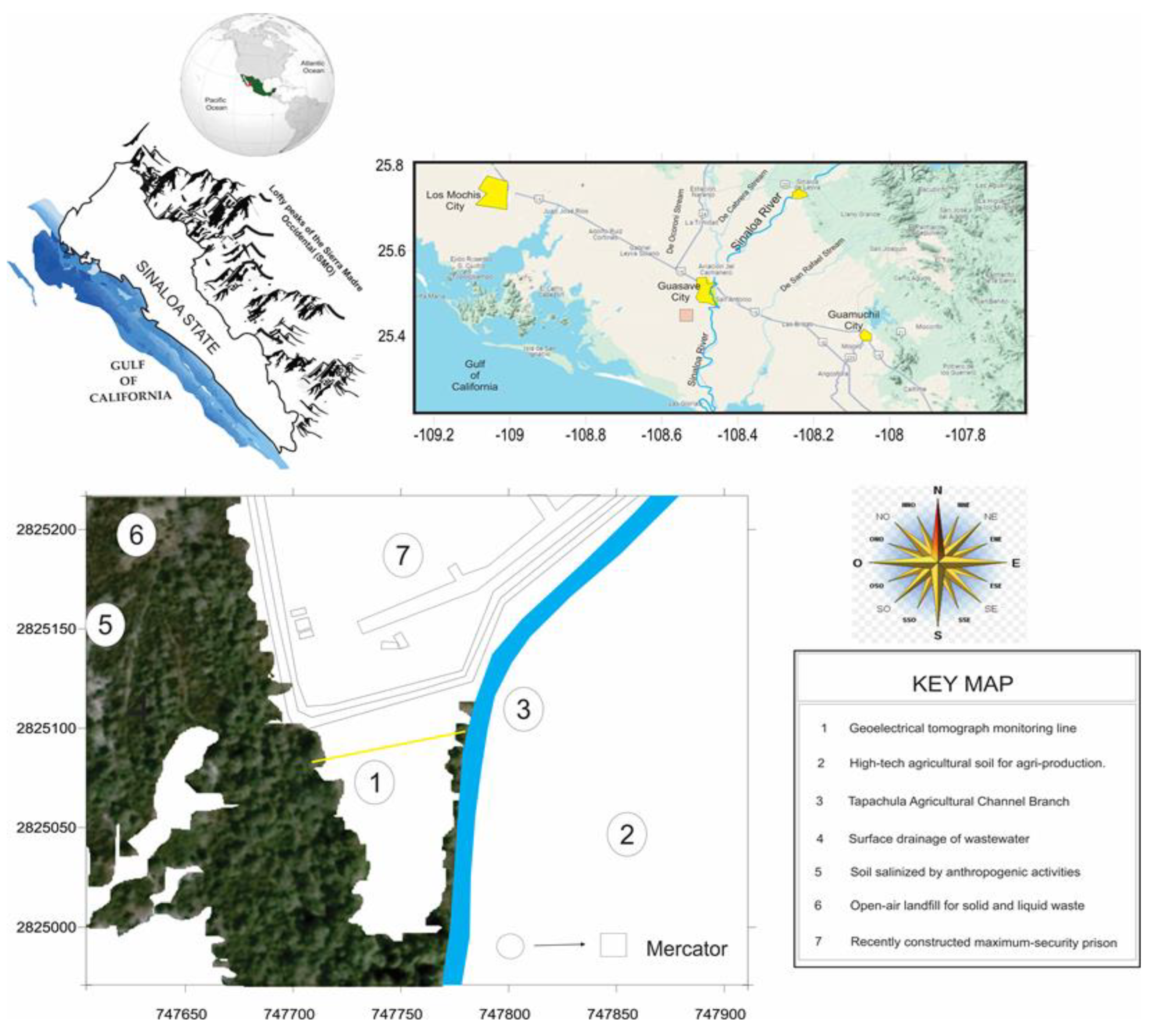 Preprints 121253 g001