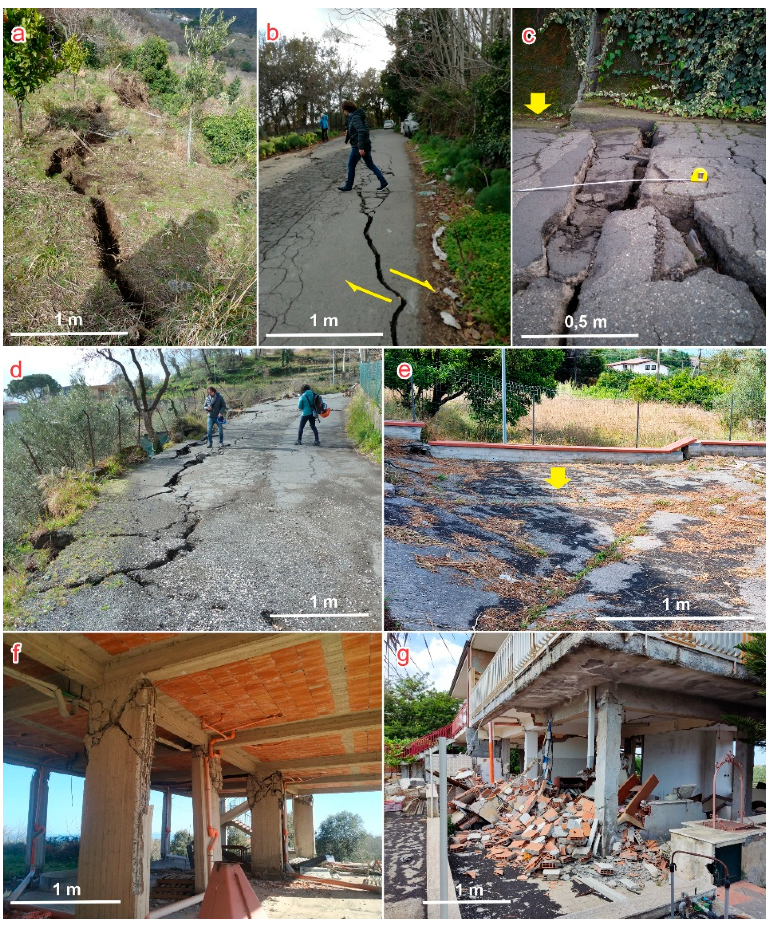 Preprints 161294 g005