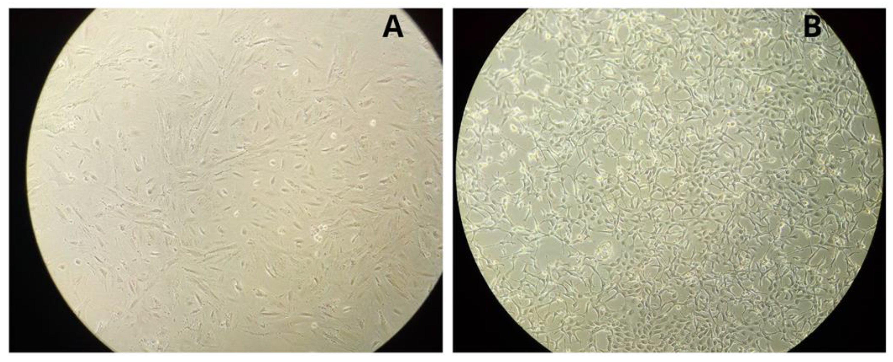 Preprints 161113 g001