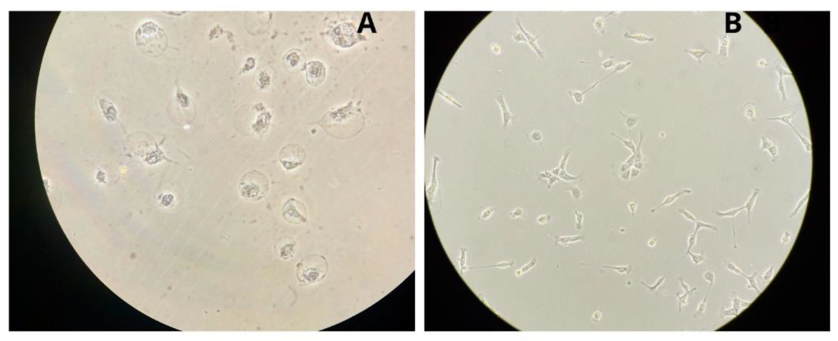 Preprints 161113 g005