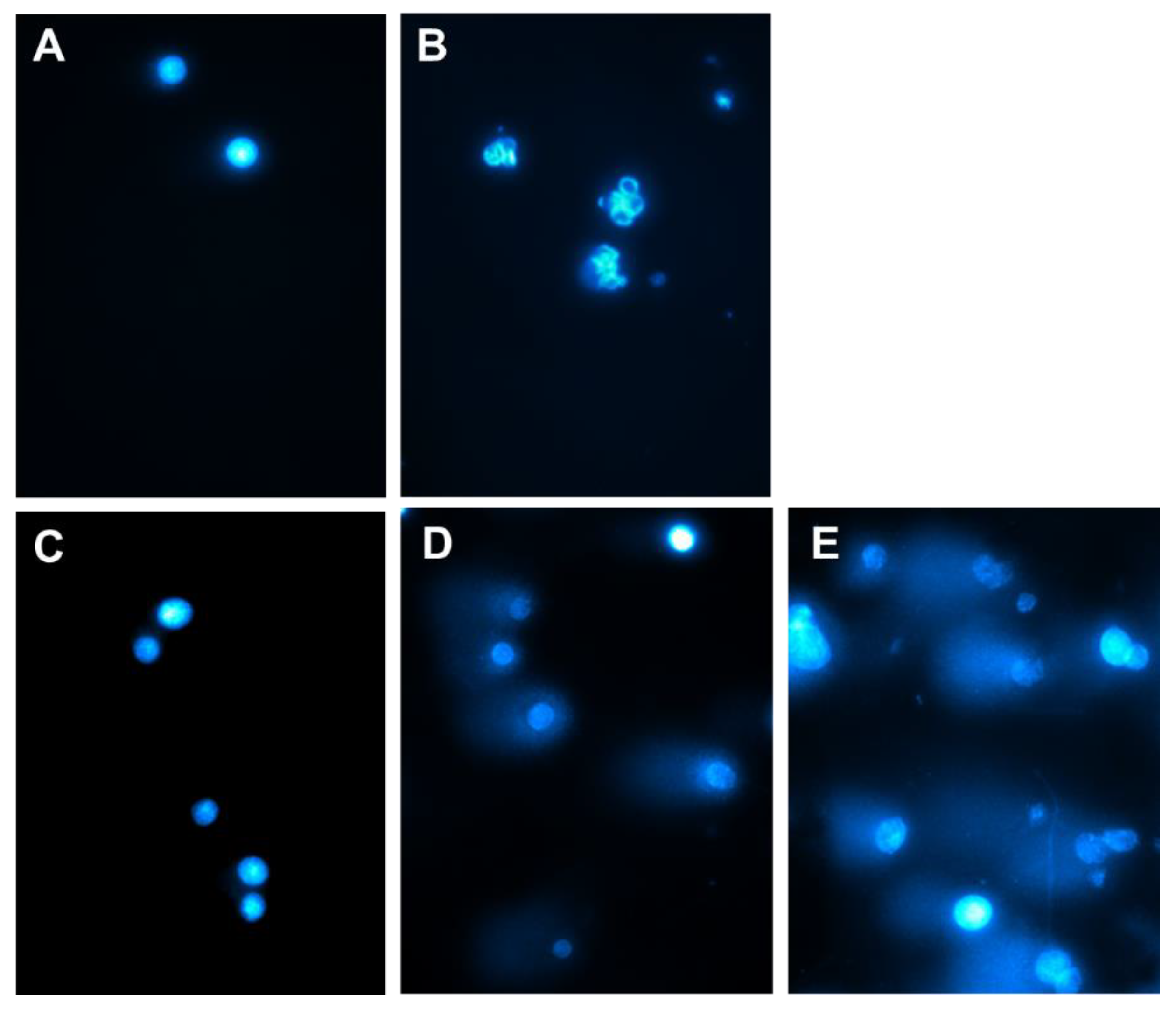 Preprints 161113 g008