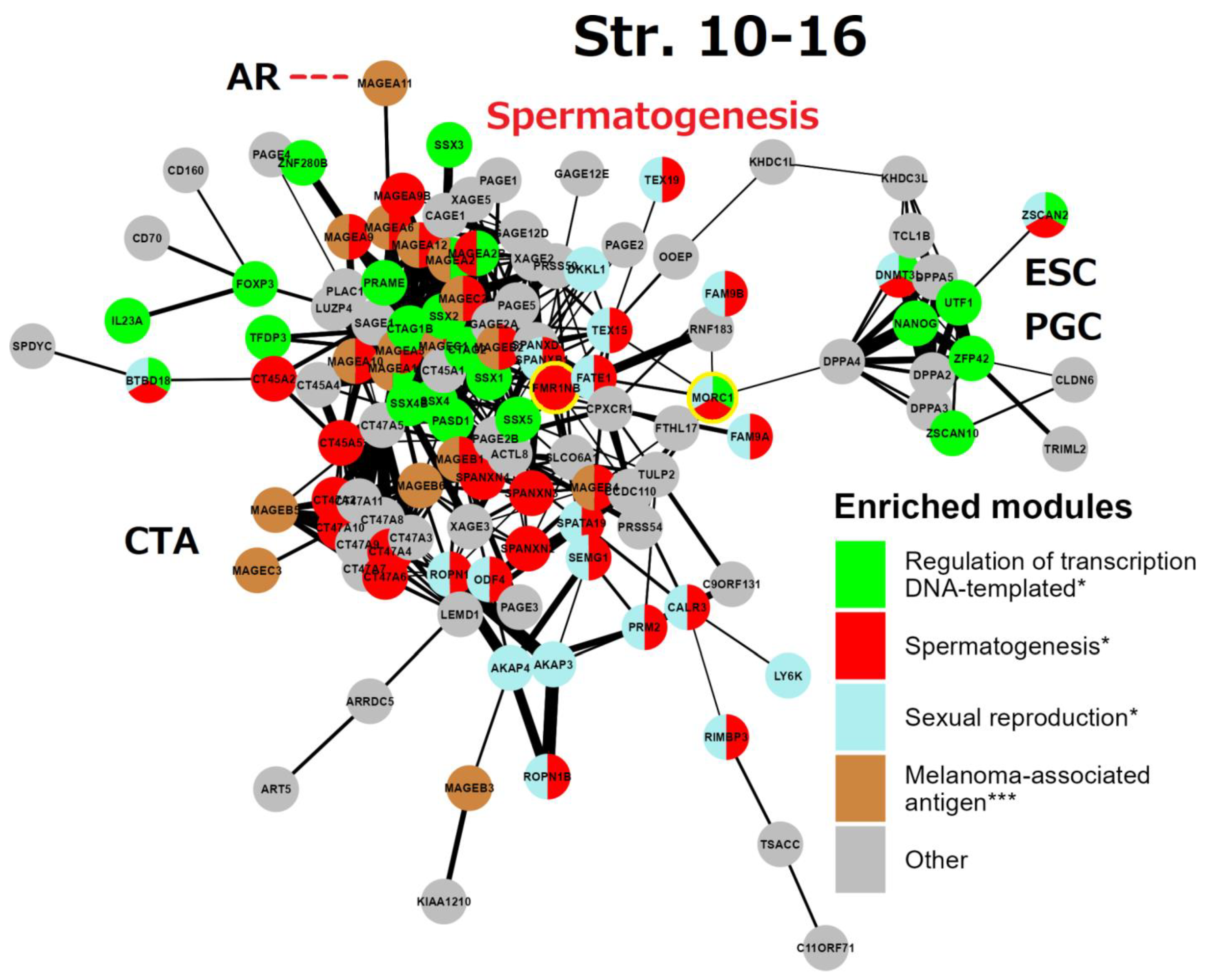 Preprints 76224 g009