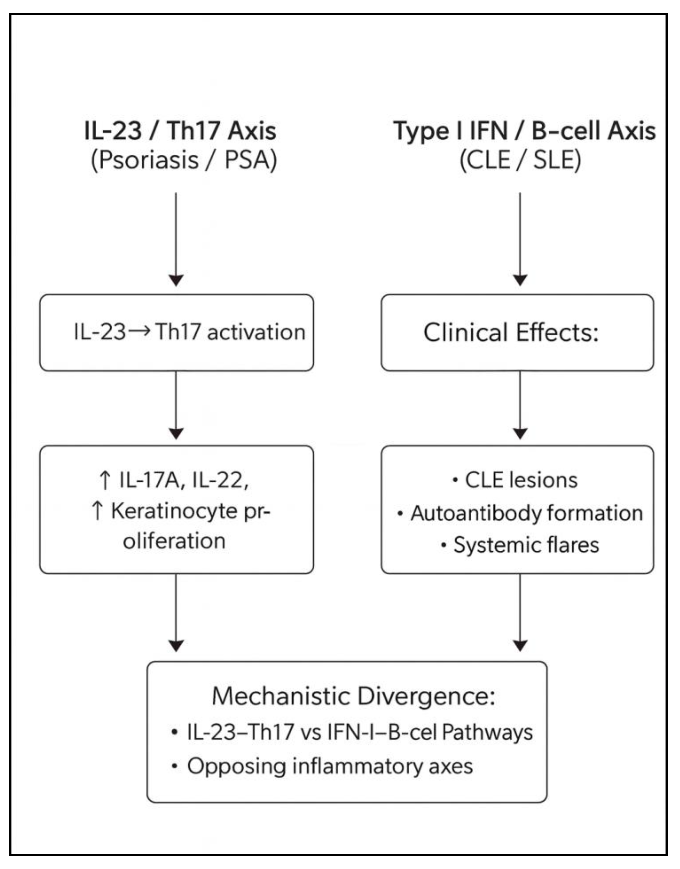 Preprints 188822 g004