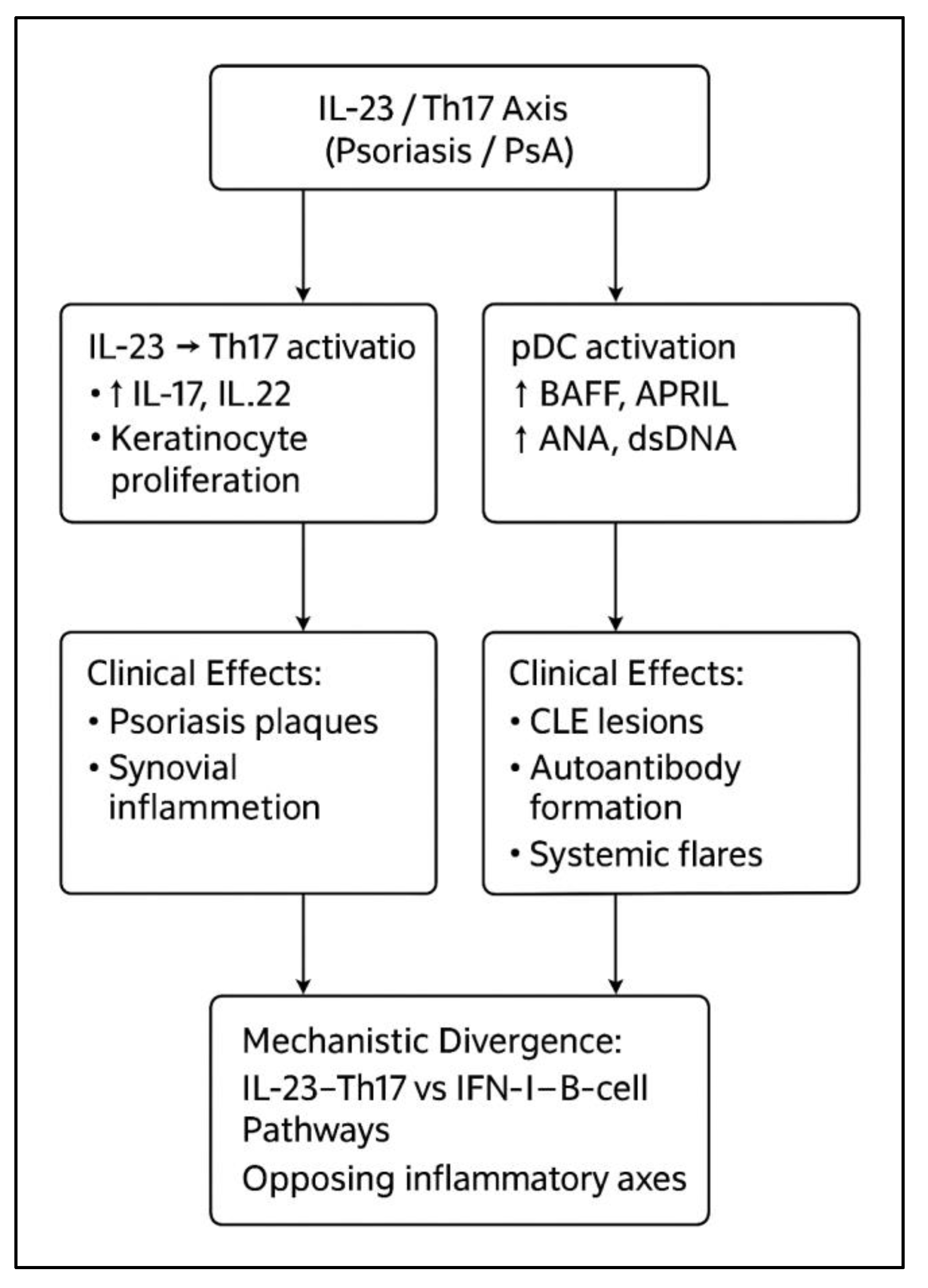 Preprints 188822 g005