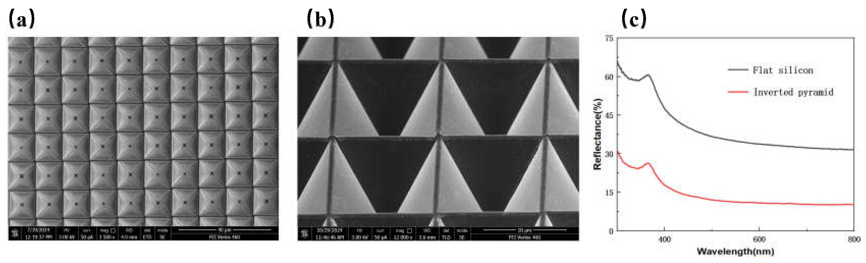 Preprints 151815 g001