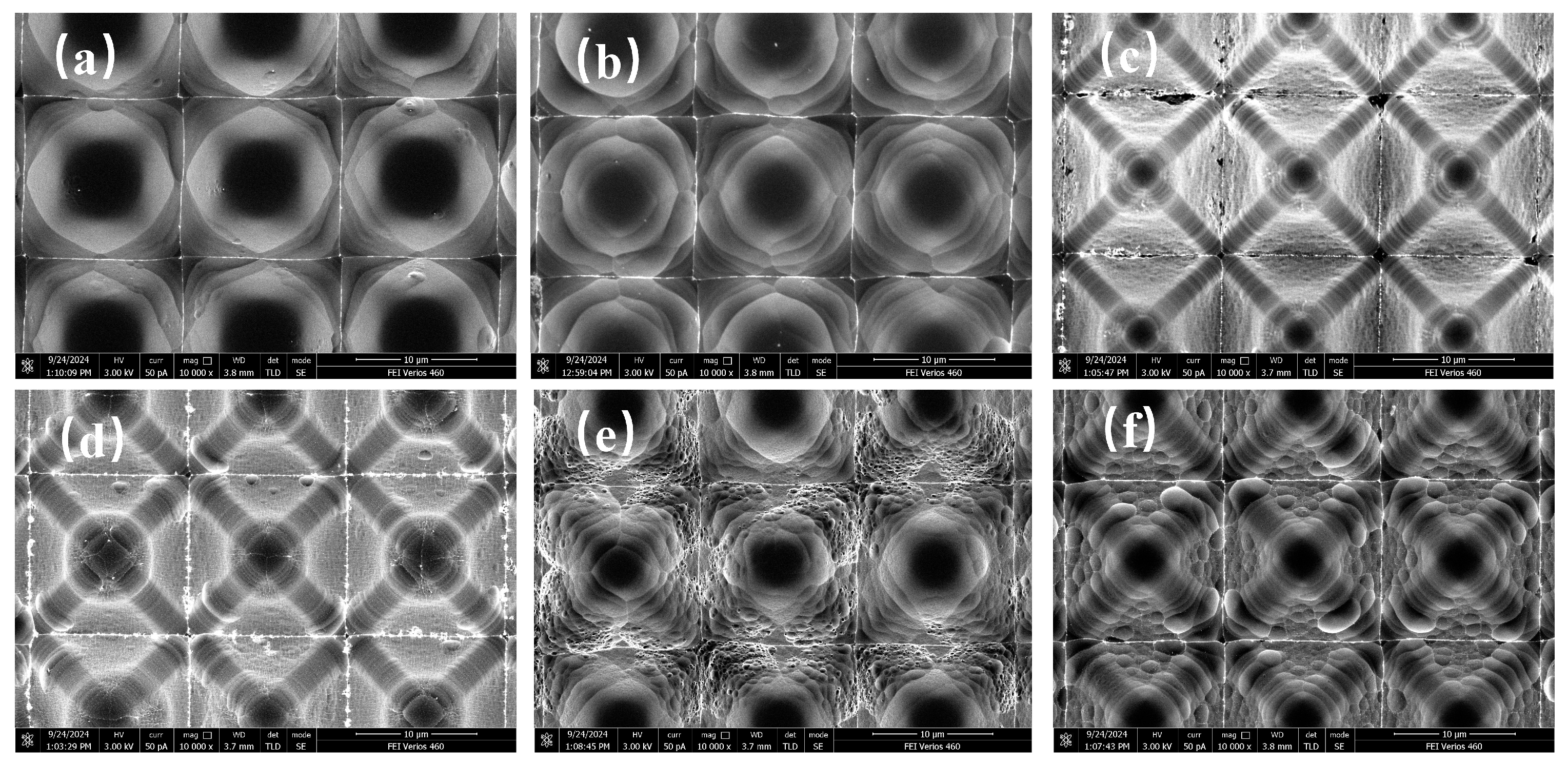 Preprints 151815 g002