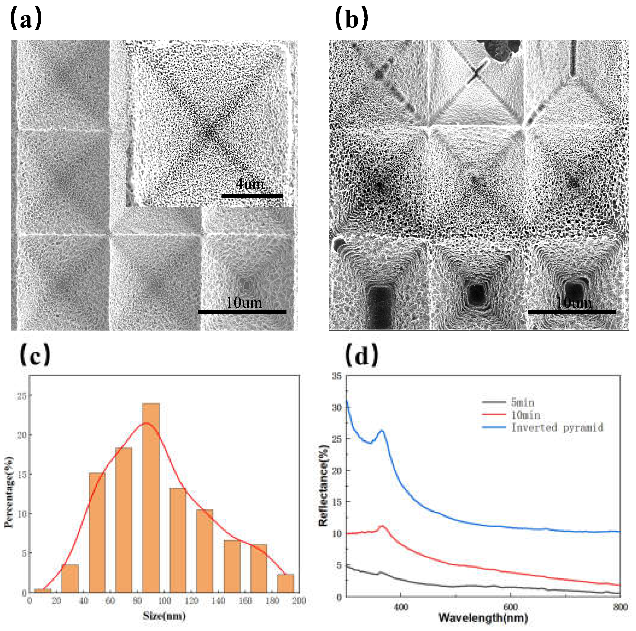 Preprints 151815 g006