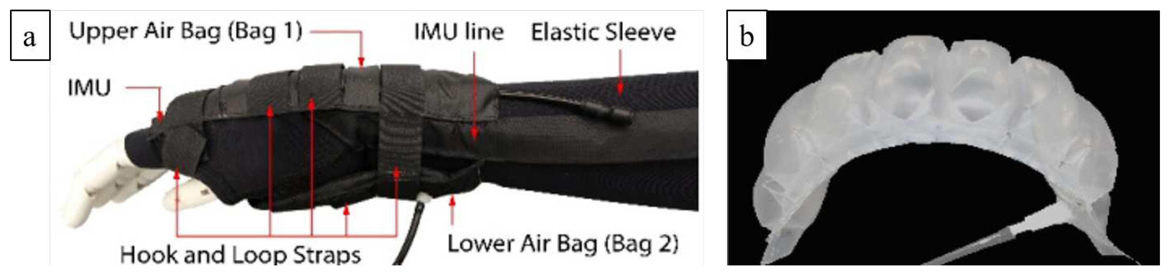 Preprints 90295 g011